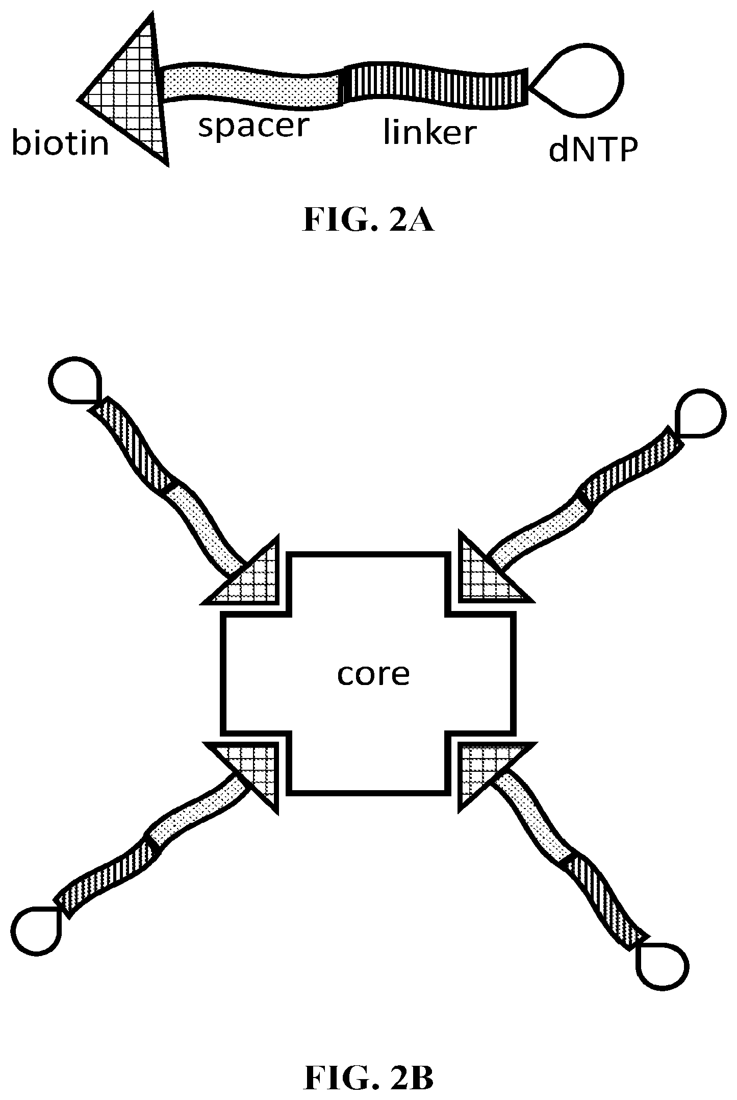 Patent US11781185 Figure 2 – Methods and reagents for nucleic acid analysis