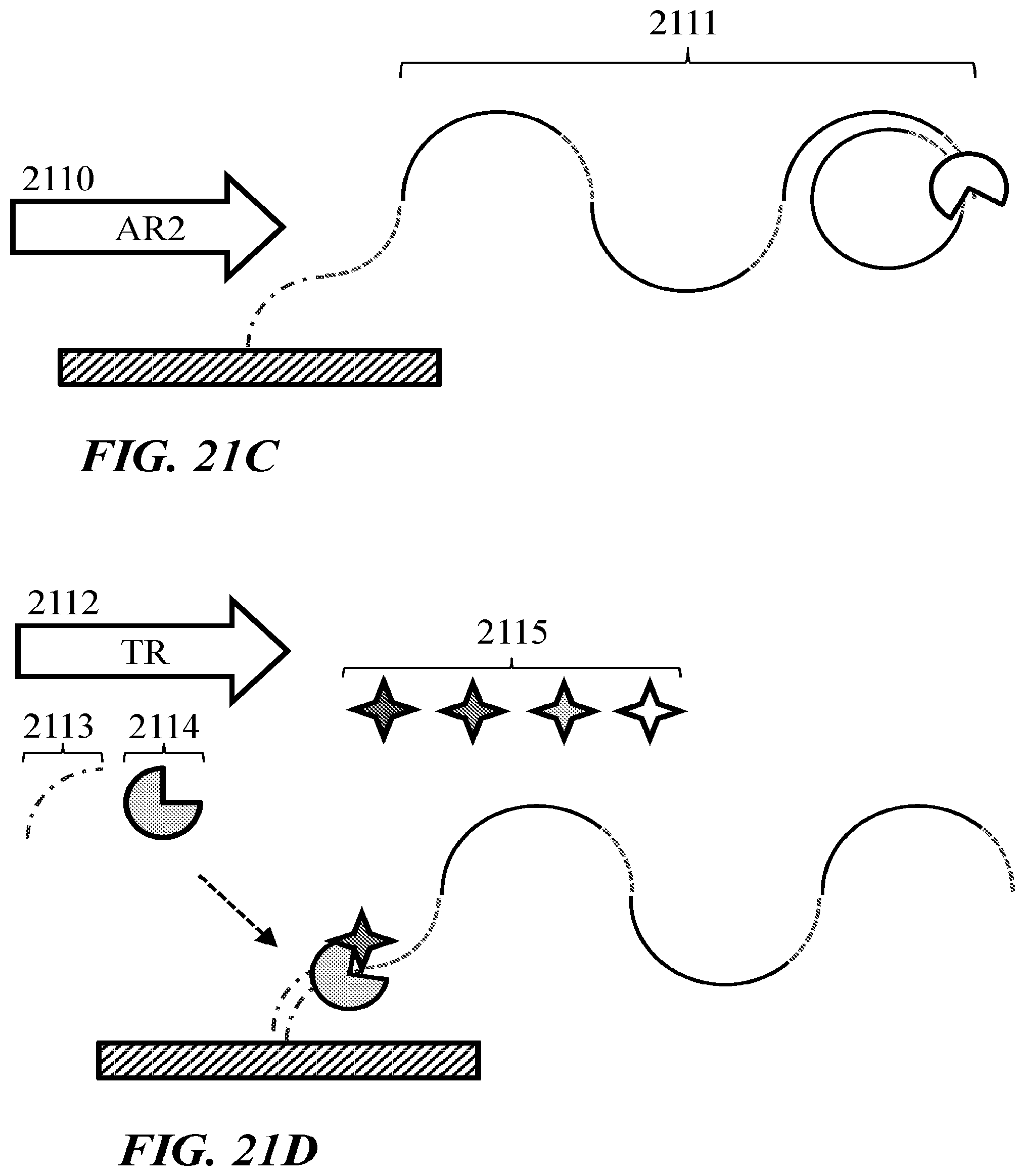 Patent US11781185 Figure 19 – Methods and reagents for nucleic acid analysis