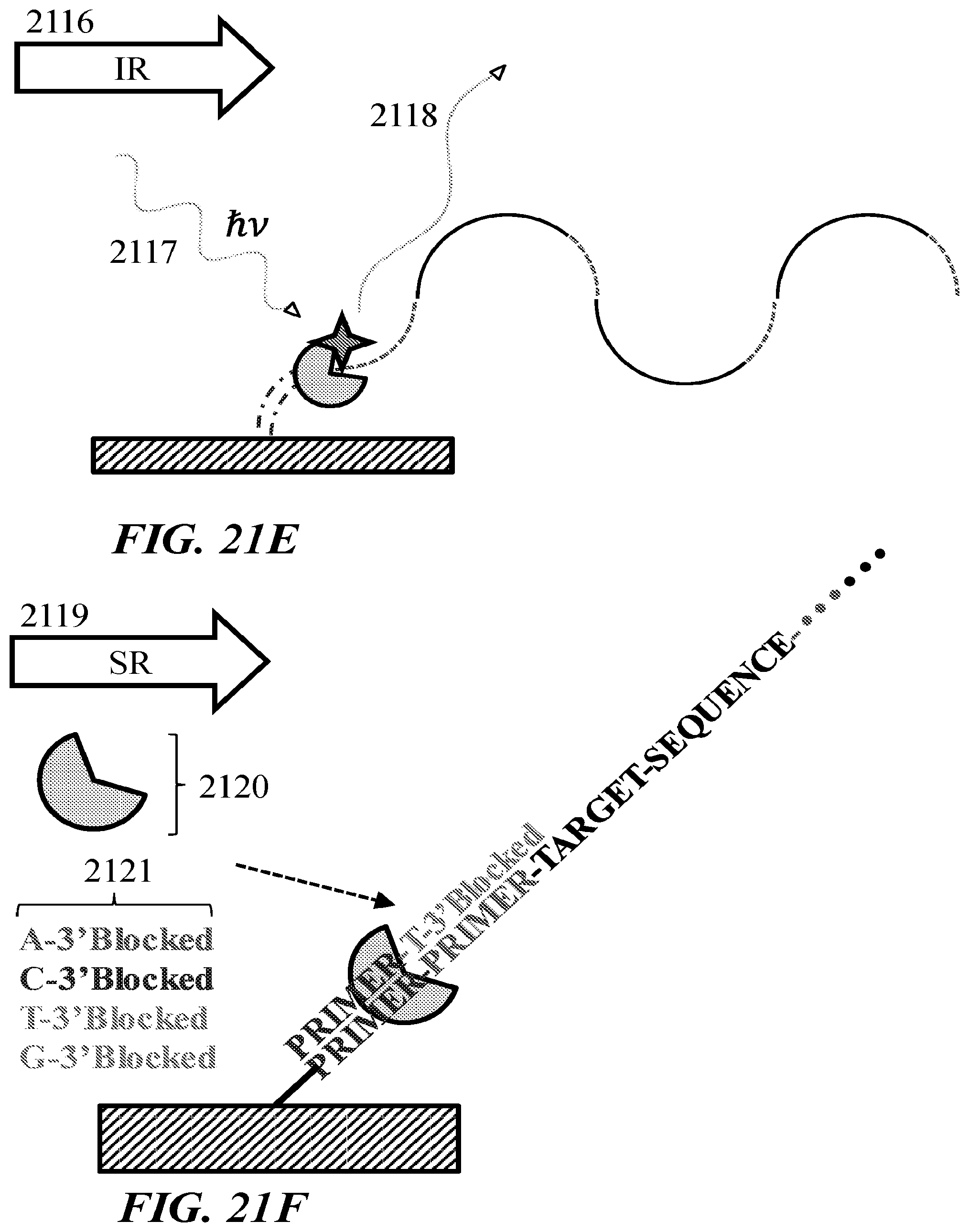 Patent US11781185 Figure 20 – Methods and reagents for nucleic acid analysis