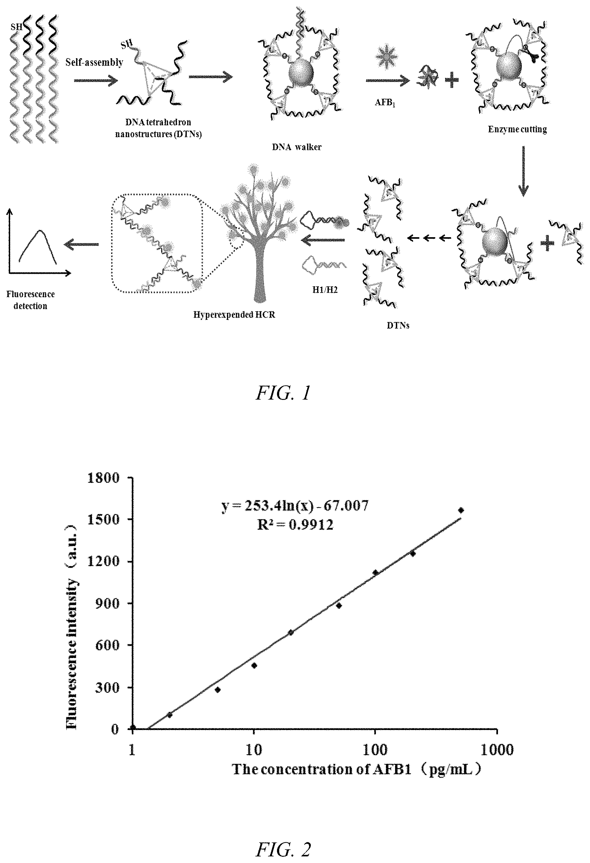 Patent US11781186 Figure 1 – Kit for aflatoxin B1 (AFB1) monitoring