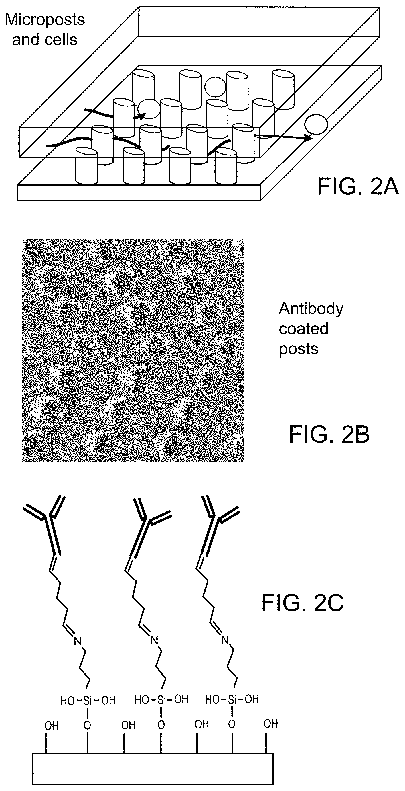 Patent US11781187 Figure 3 – Rare cell analysis using sample splitting and DNA tags