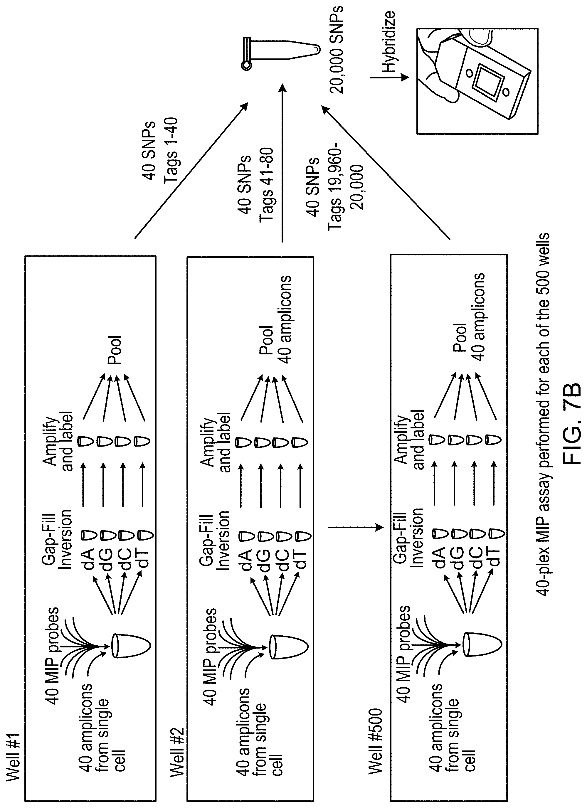 Patent US11781187 Figure 9 – Rare cell analysis using sample splitting and DNA tags