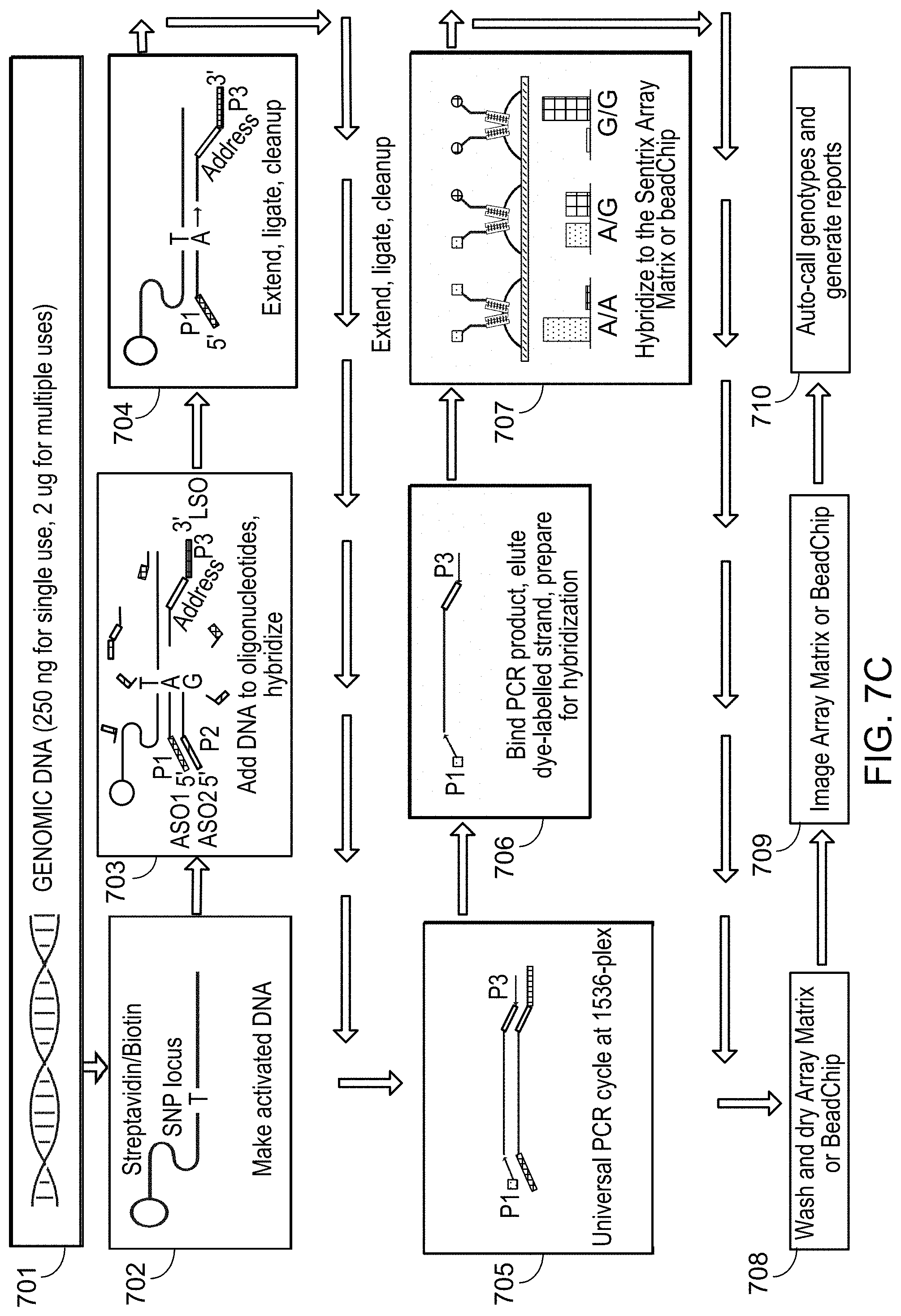 Patent US11781187 Figure 10 – Rare cell analysis using sample splitting and DNA tags