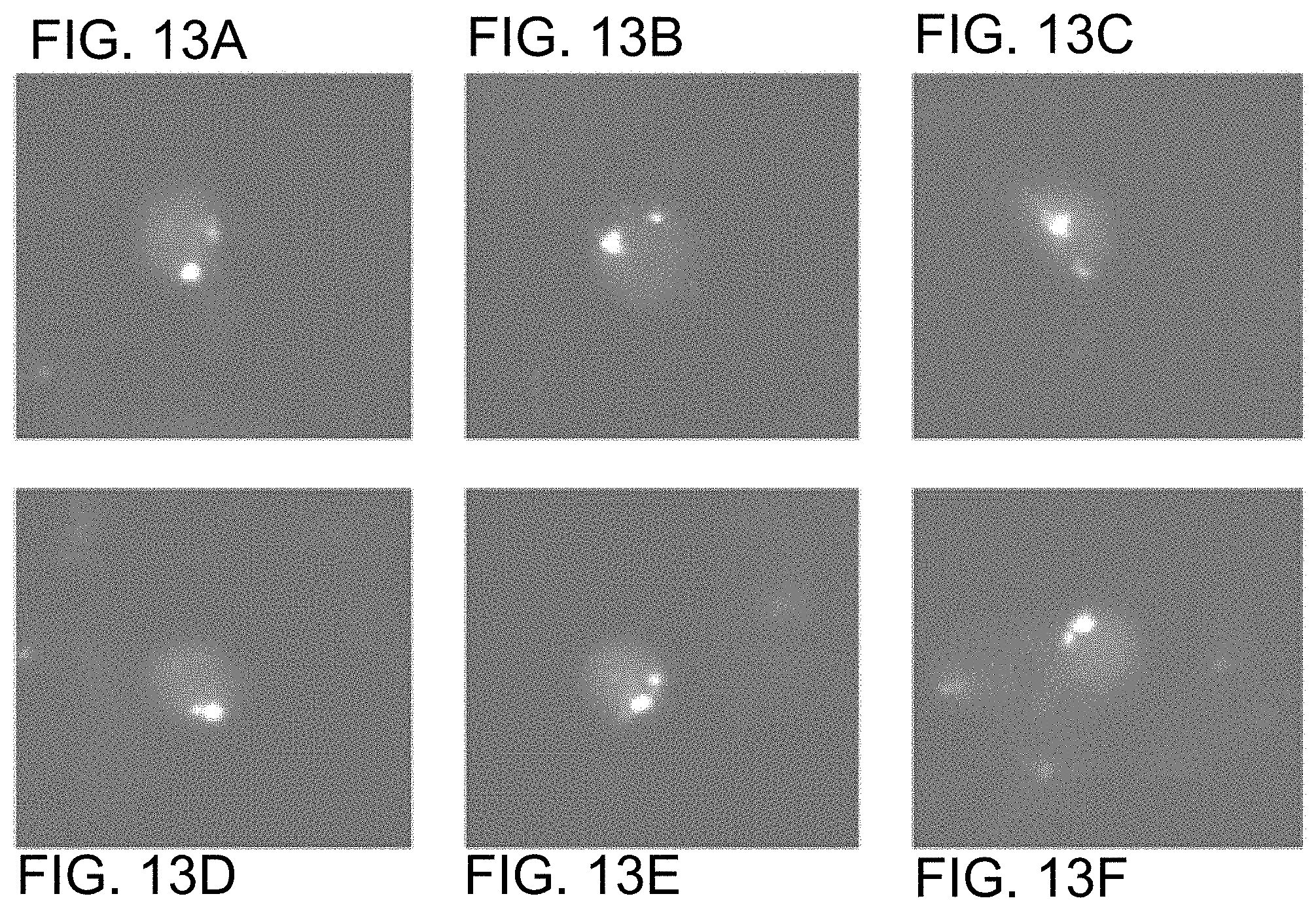 Patent US11781187 Figure 19 – Rare cell analysis using sample splitting and DNA tags