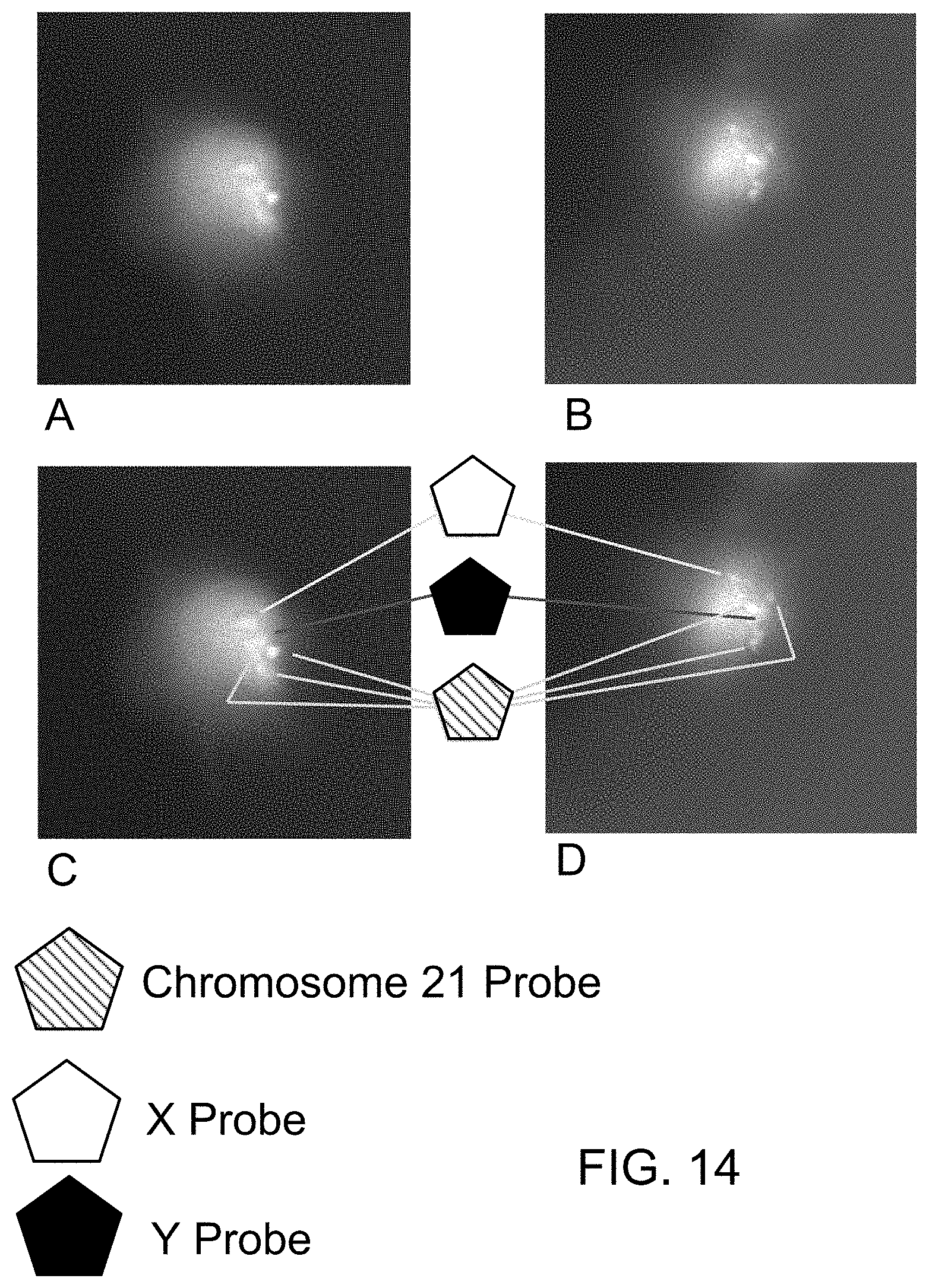 Patent US11781187 Figure 20 – Rare cell analysis using sample splitting and DNA tags