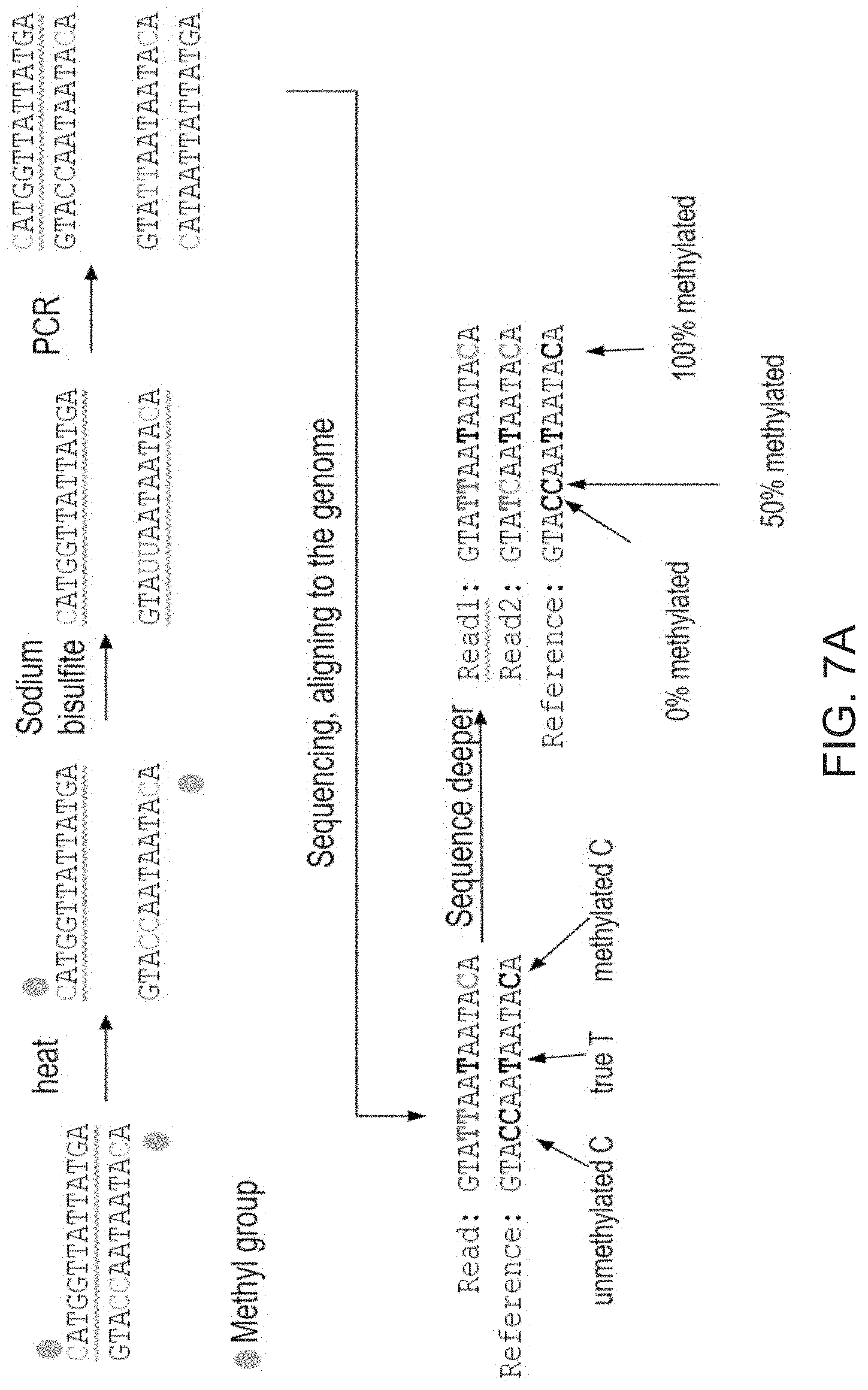 Patent US11781188 Figure 15 – Methods of detecting cell-free DNA in biological samples