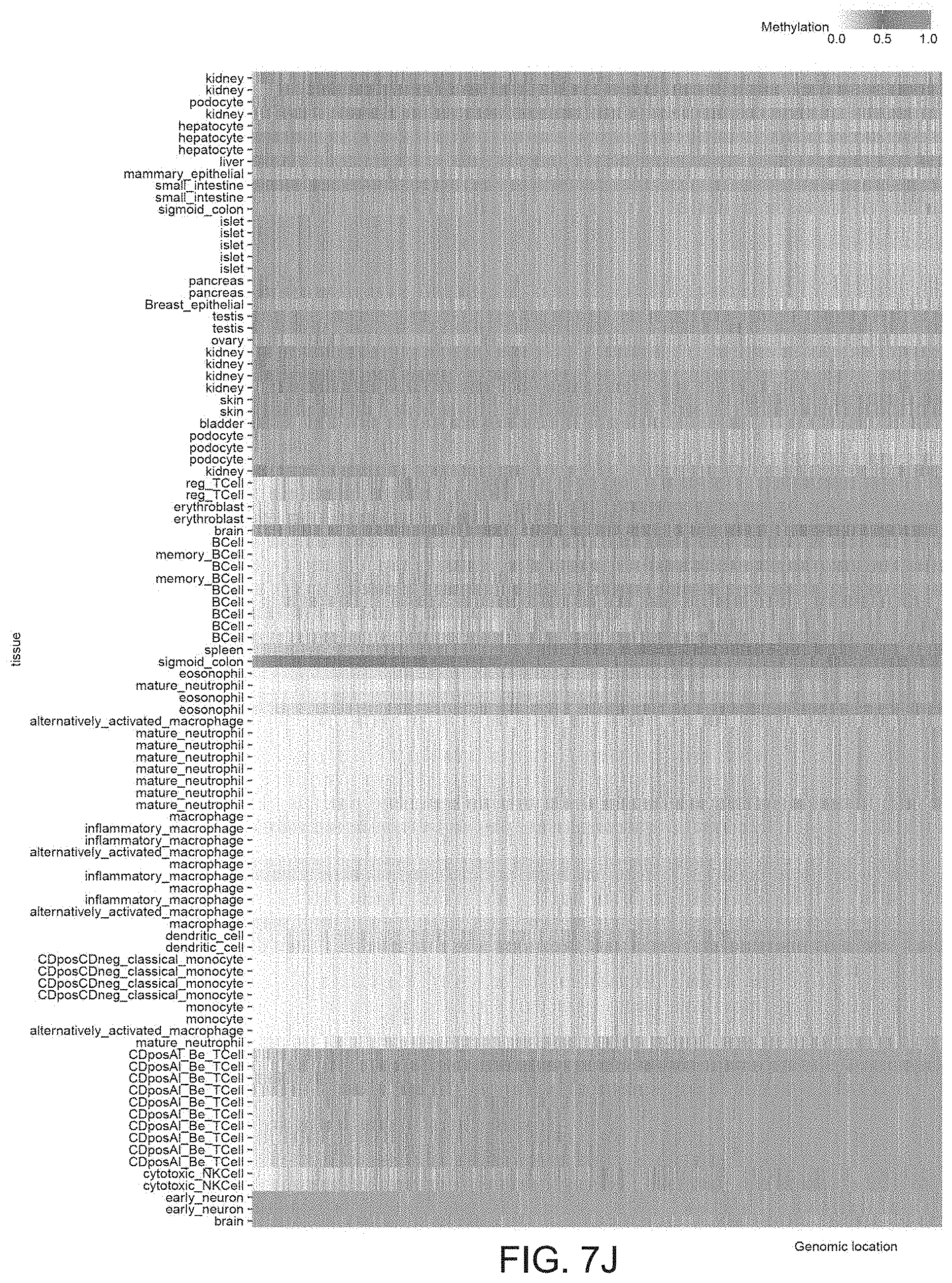 Patent US11781188 Figure 20 – Methods of detecting cell-free DNA in biological samples