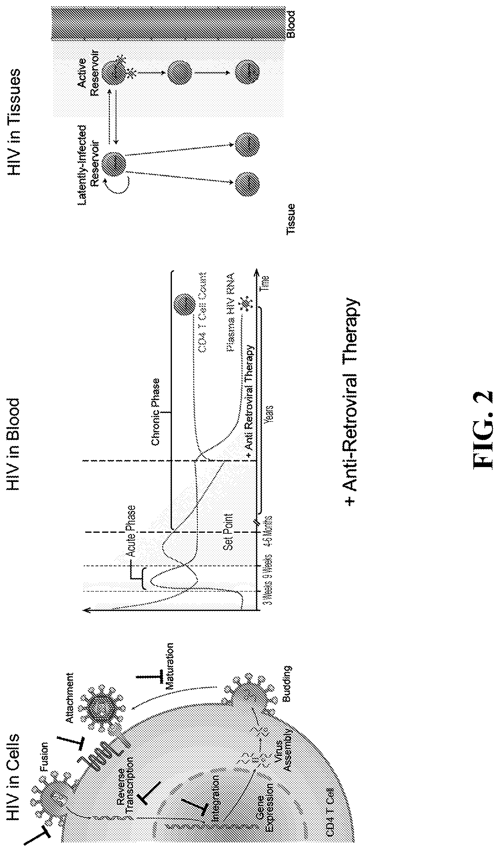 Patent US11781193 Figure 2 – Markers of active HIV reservoir