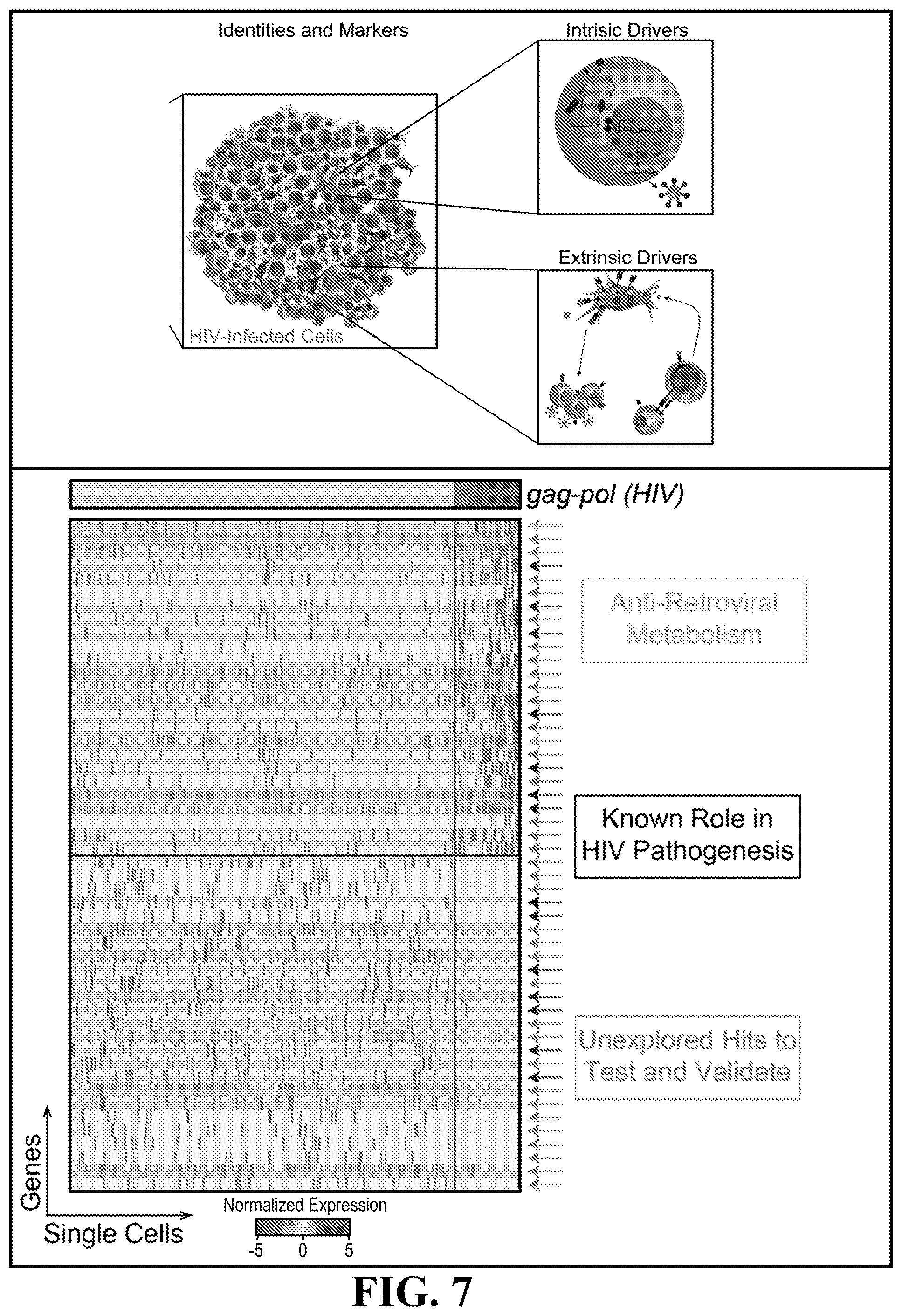 Patent US11781193 Figure 7 – Markers of active HIV reservoir