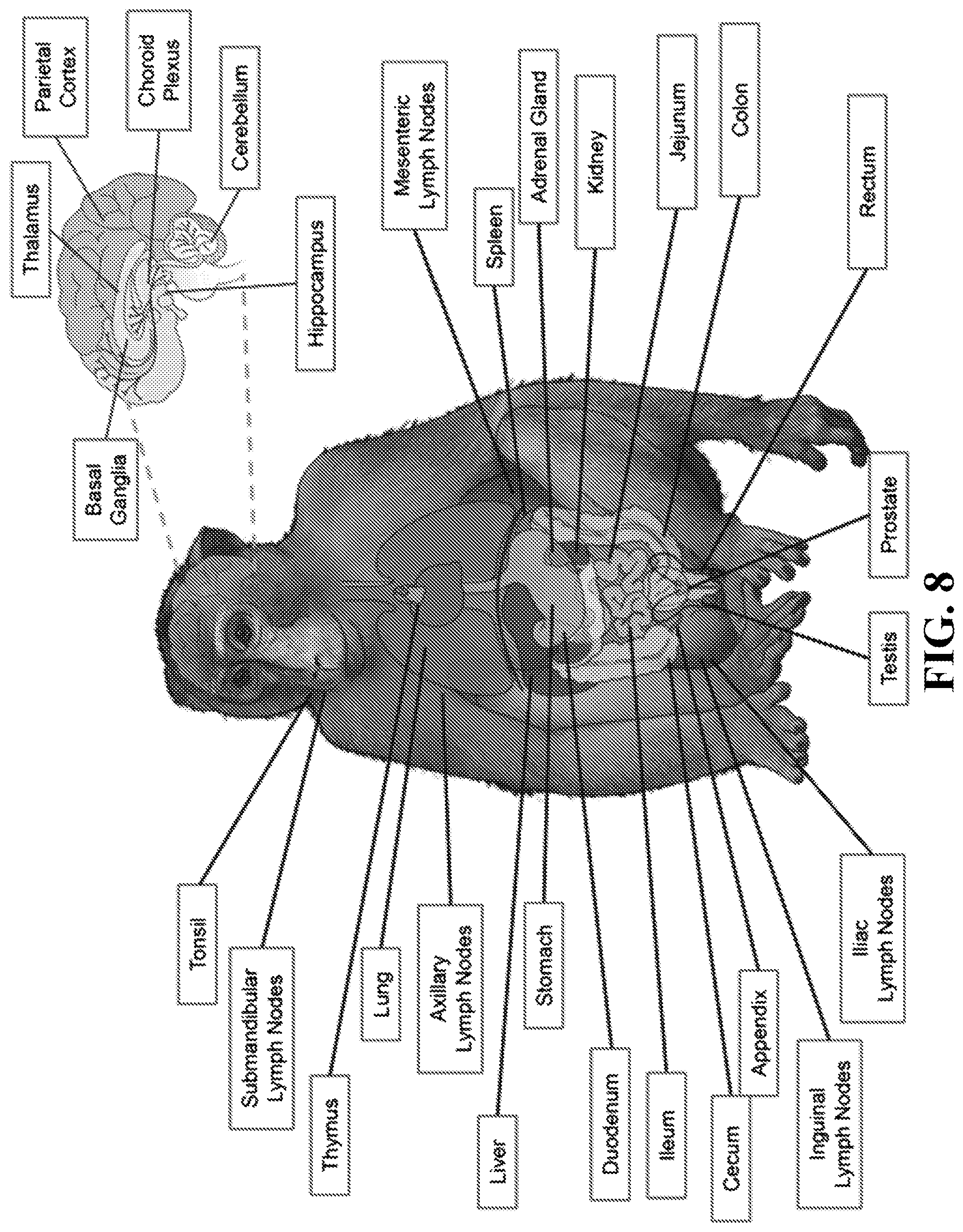 Patent US11781193 Figure 8 – Markers of active HIV reservoir