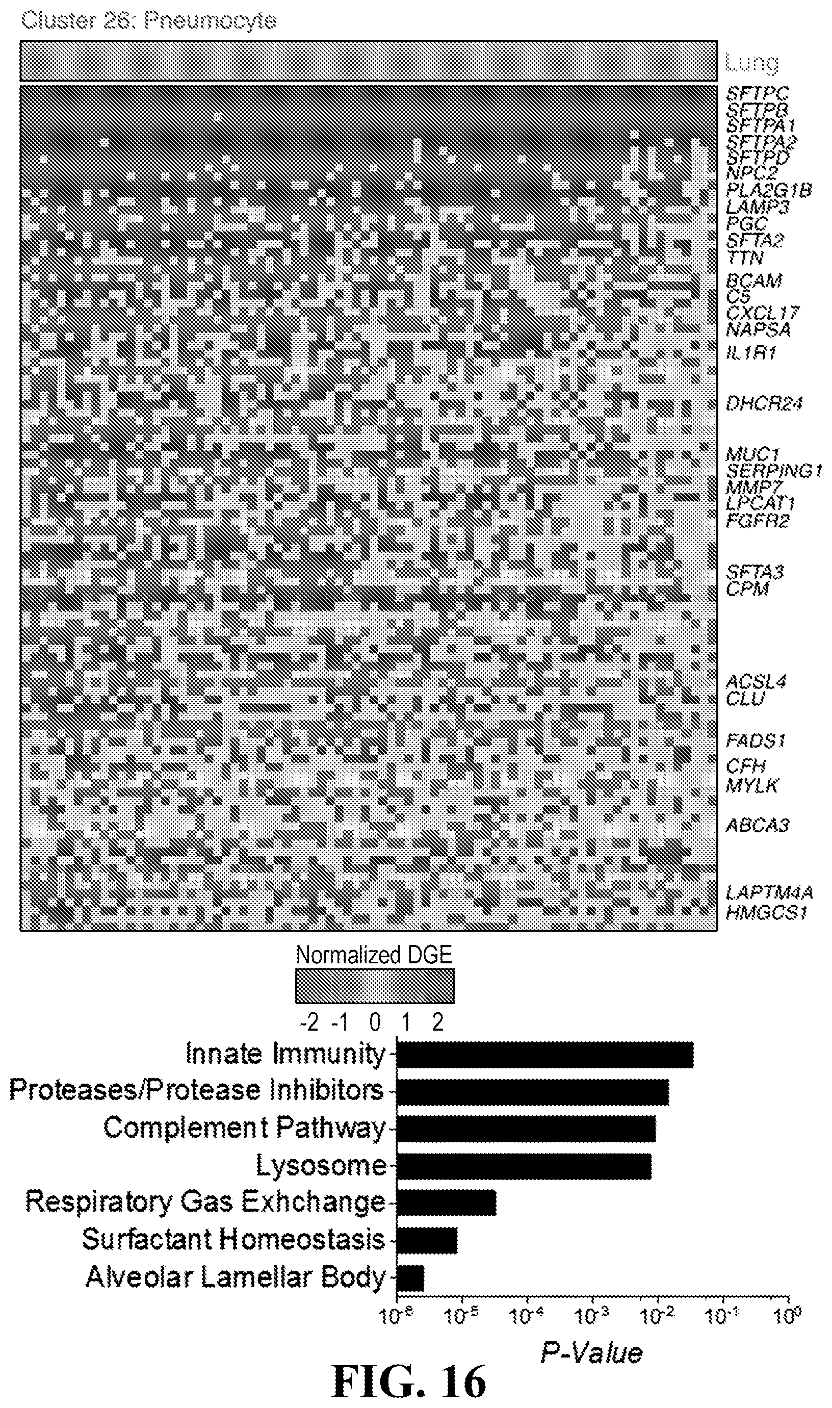 Patent US11781193 Figure 16 – Markers of active HIV reservoir