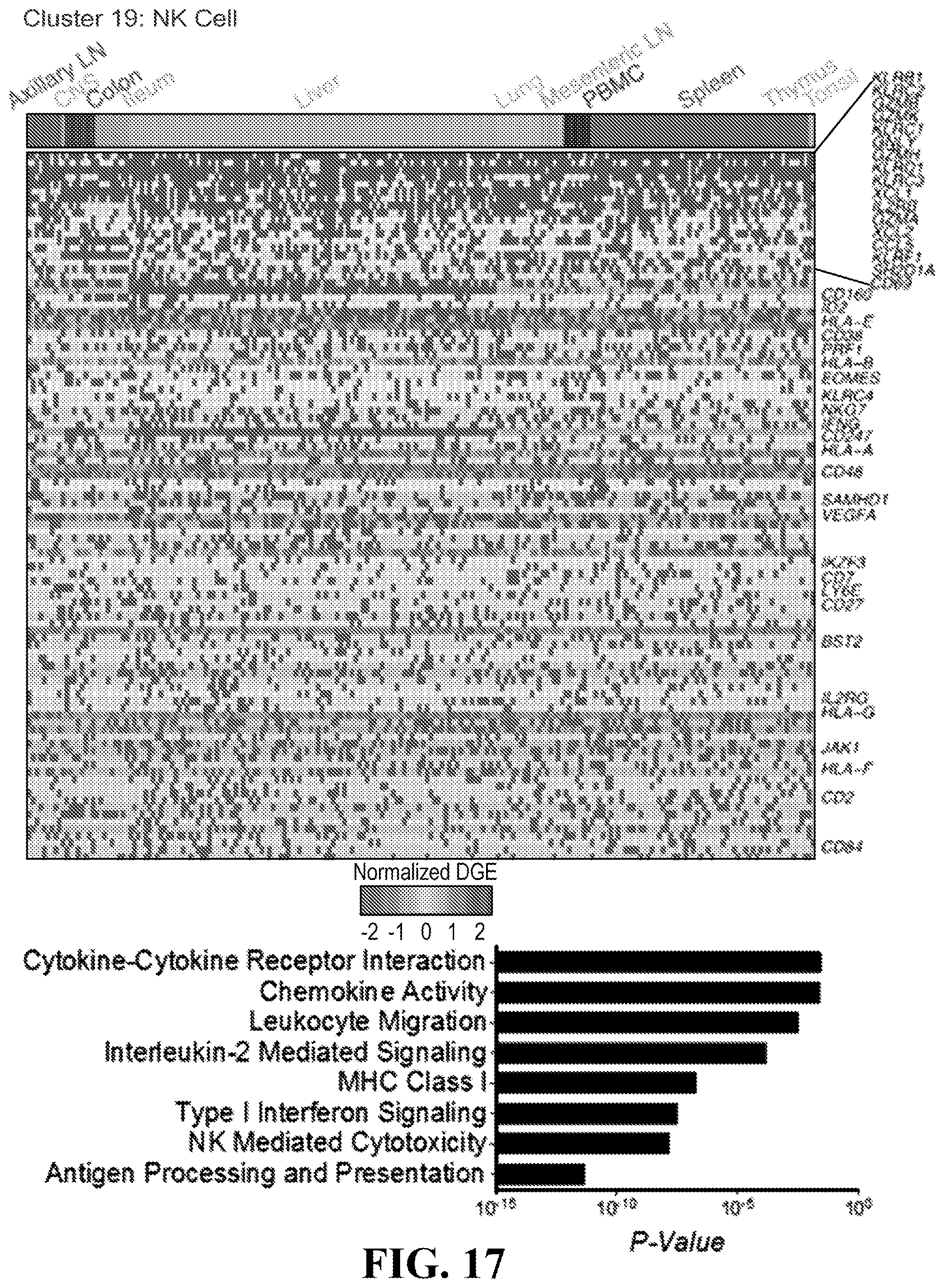 Patent US11781193 Figure 17 – Markers of active HIV reservoir