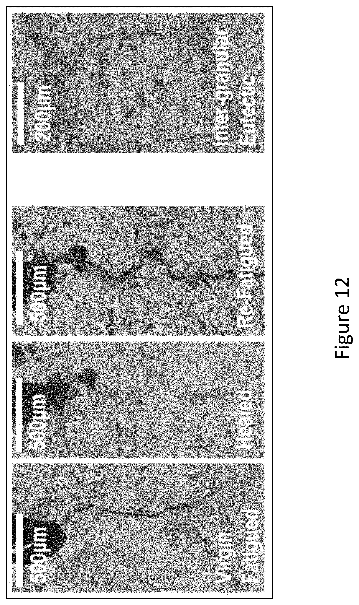 Patent US11781206 Figure 12 – Self-repairing metal alloy matrix composites, methods of manufacture and use thereof and articles comprising the same