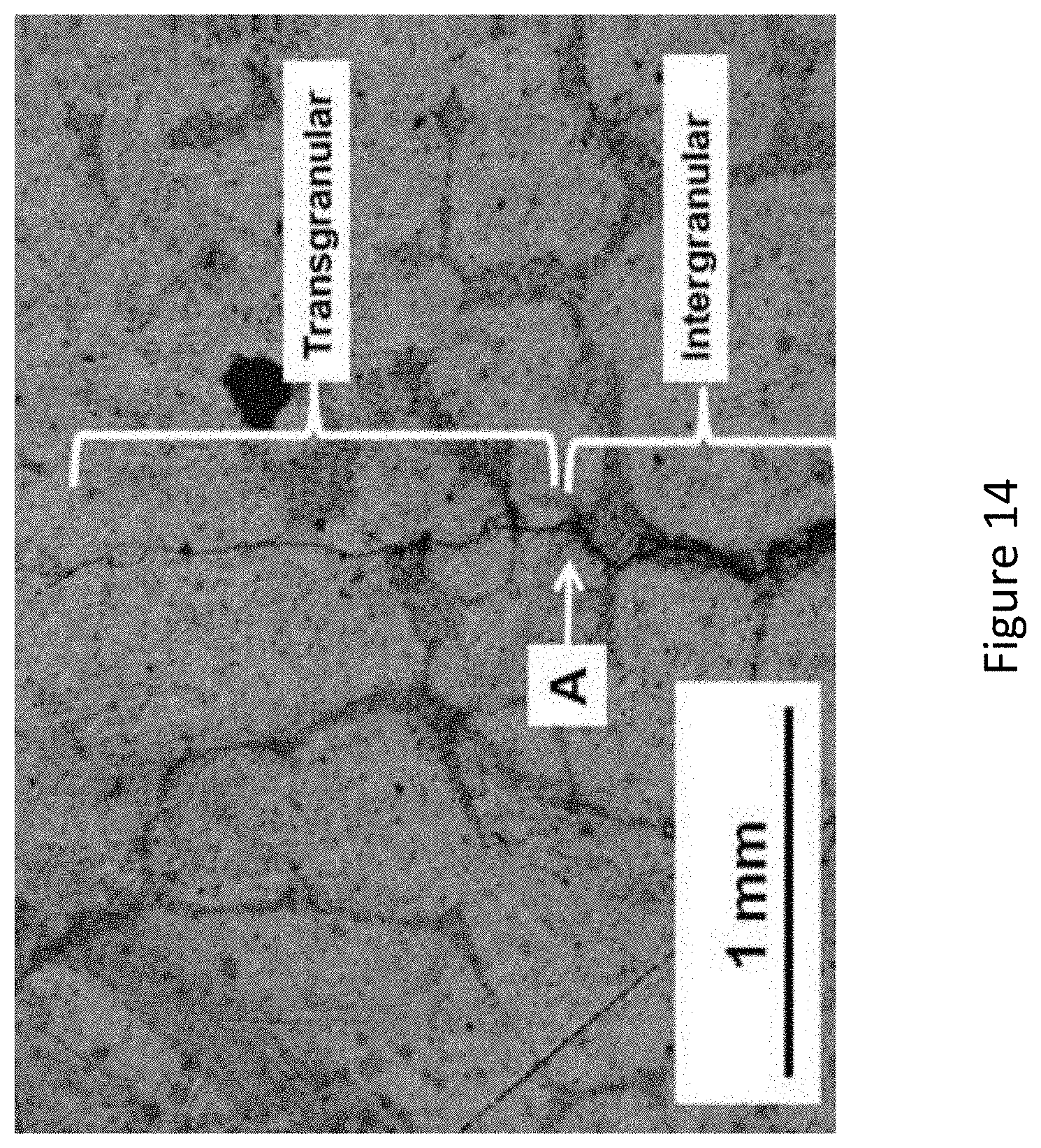 Patent US11781206 Figure 14 – Self-repairing metal alloy matrix composites, methods of manufacture and use thereof and articles comprising the same