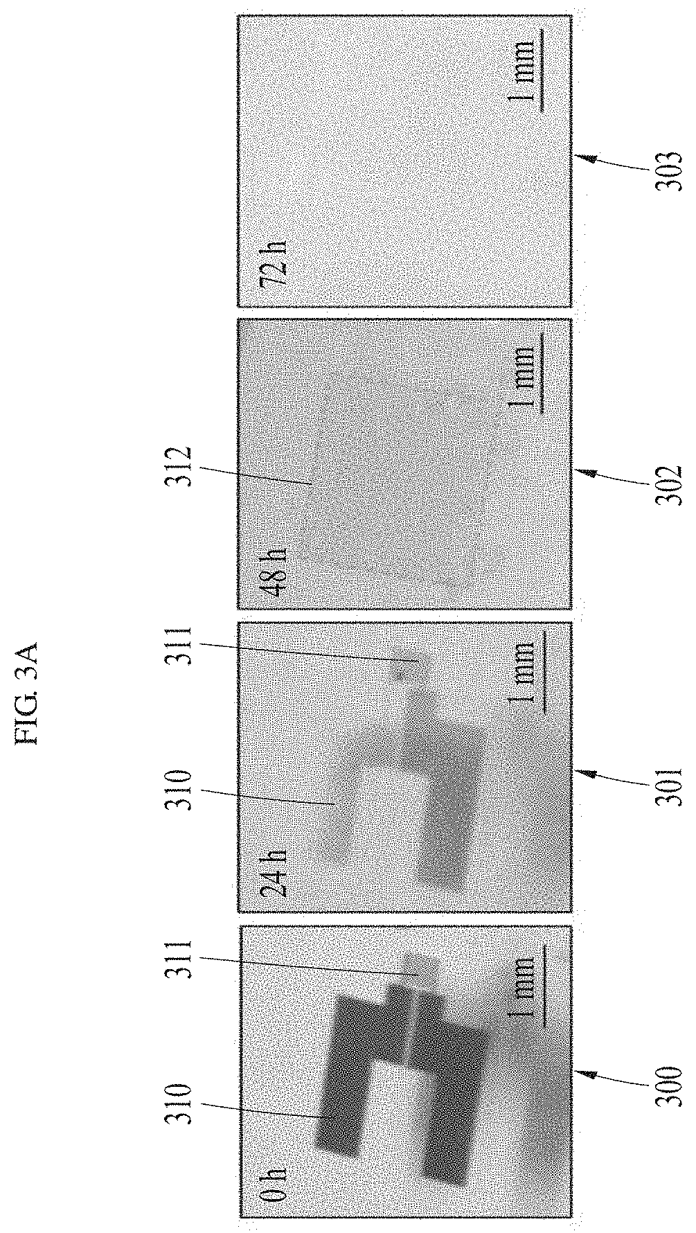 Patent US11781217 Figure 4 – Transient sensor using molybdenum disulfide and method of manufacturing the same