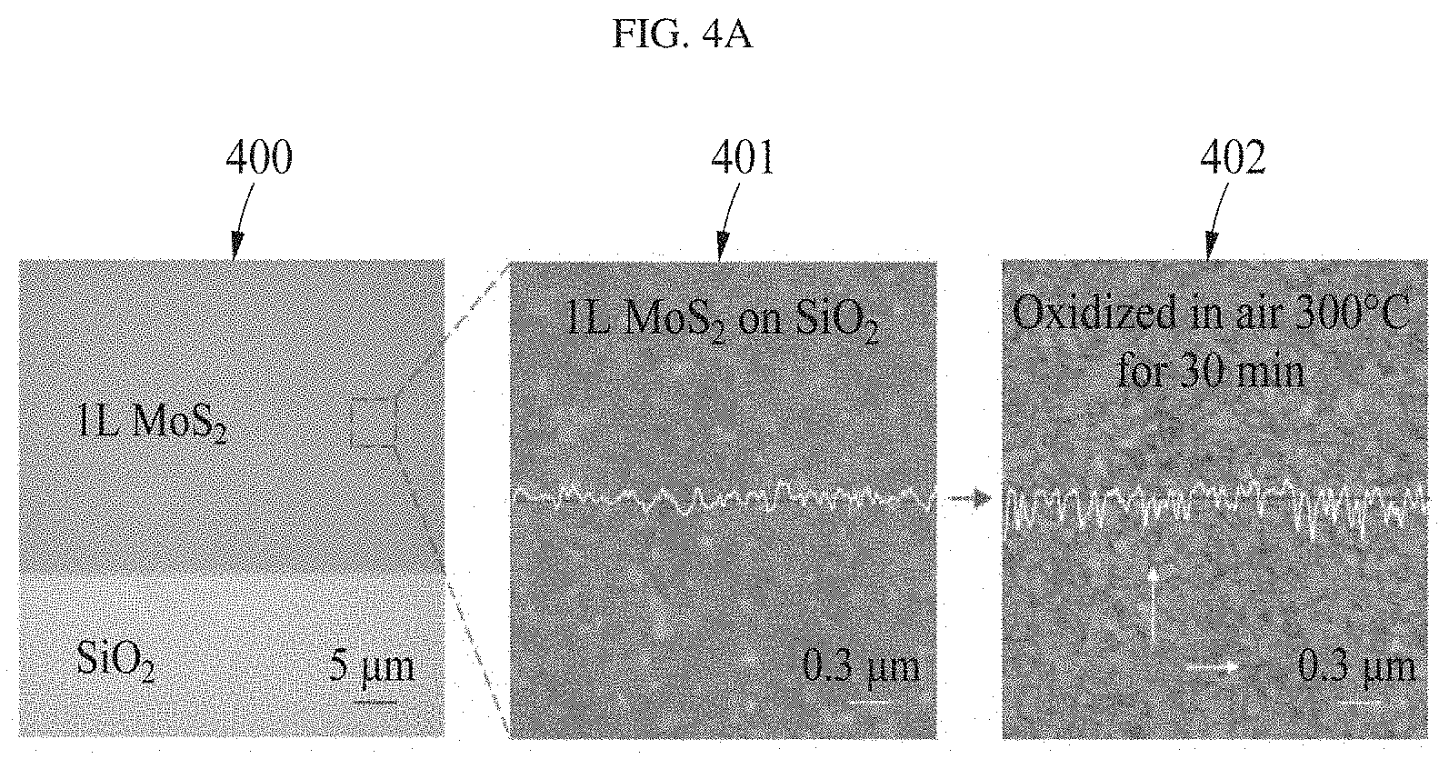 Patent US11781217 Figure 7 – Transient sensor using molybdenum disulfide and method of manufacturing the same