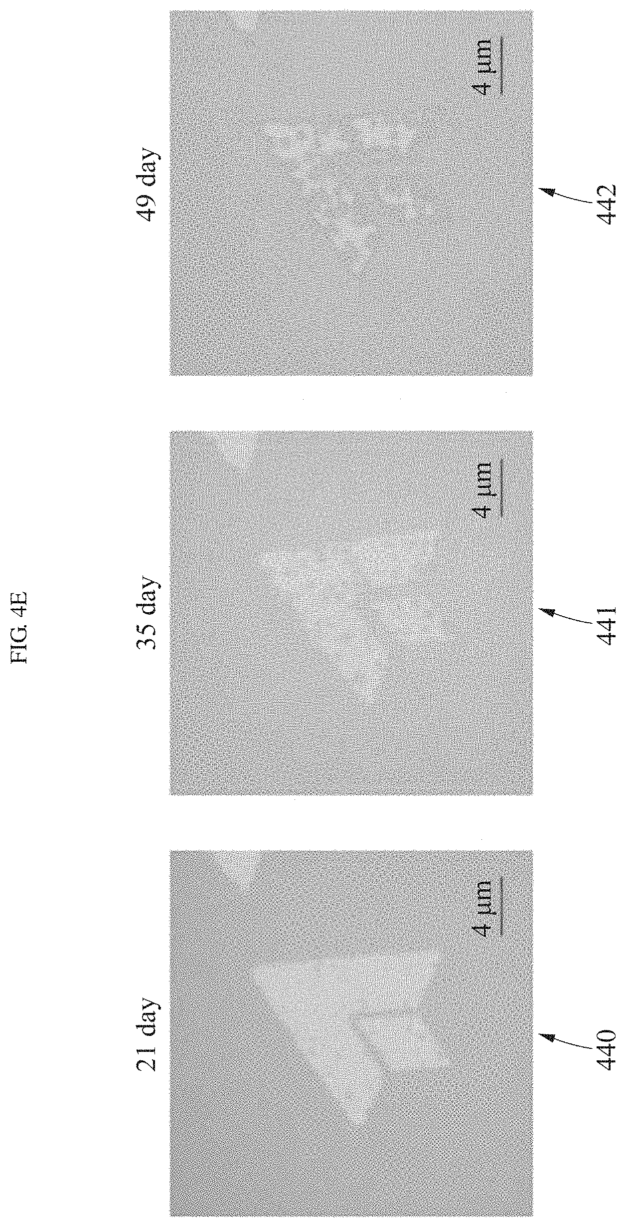 Patent US11781217 Figure 11 – Transient sensor using molybdenum disulfide and method of manufacturing the same