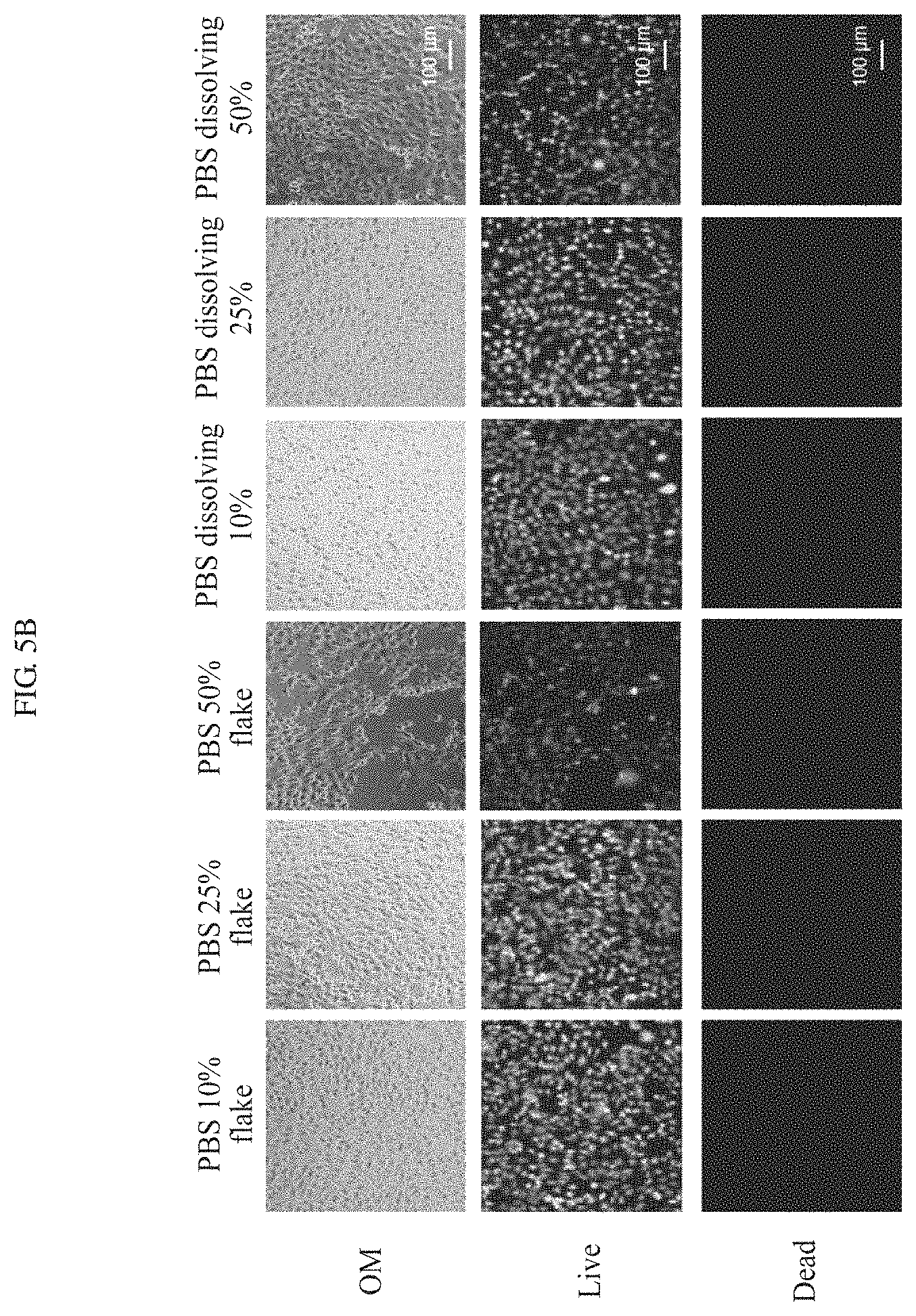 Patent US11781217 Figure 13 – Transient sensor using molybdenum disulfide and method of manufacturing the same