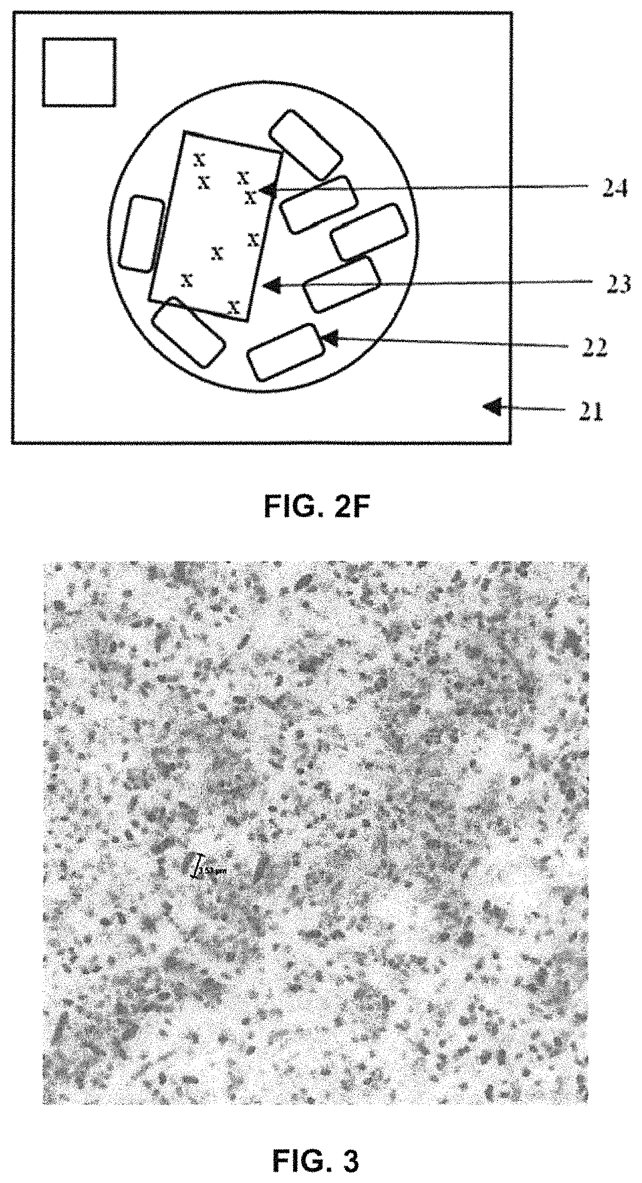Patent US11781265 Figure 6 – Method of dyeing fabric using microorganisms