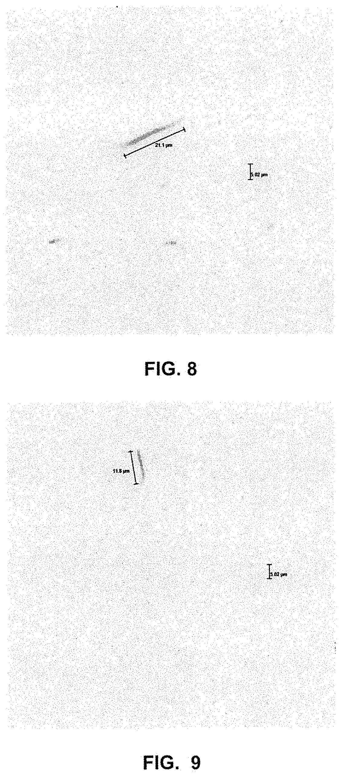 Patent US11781265 Figure 9 – Method of dyeing fabric using microorganisms