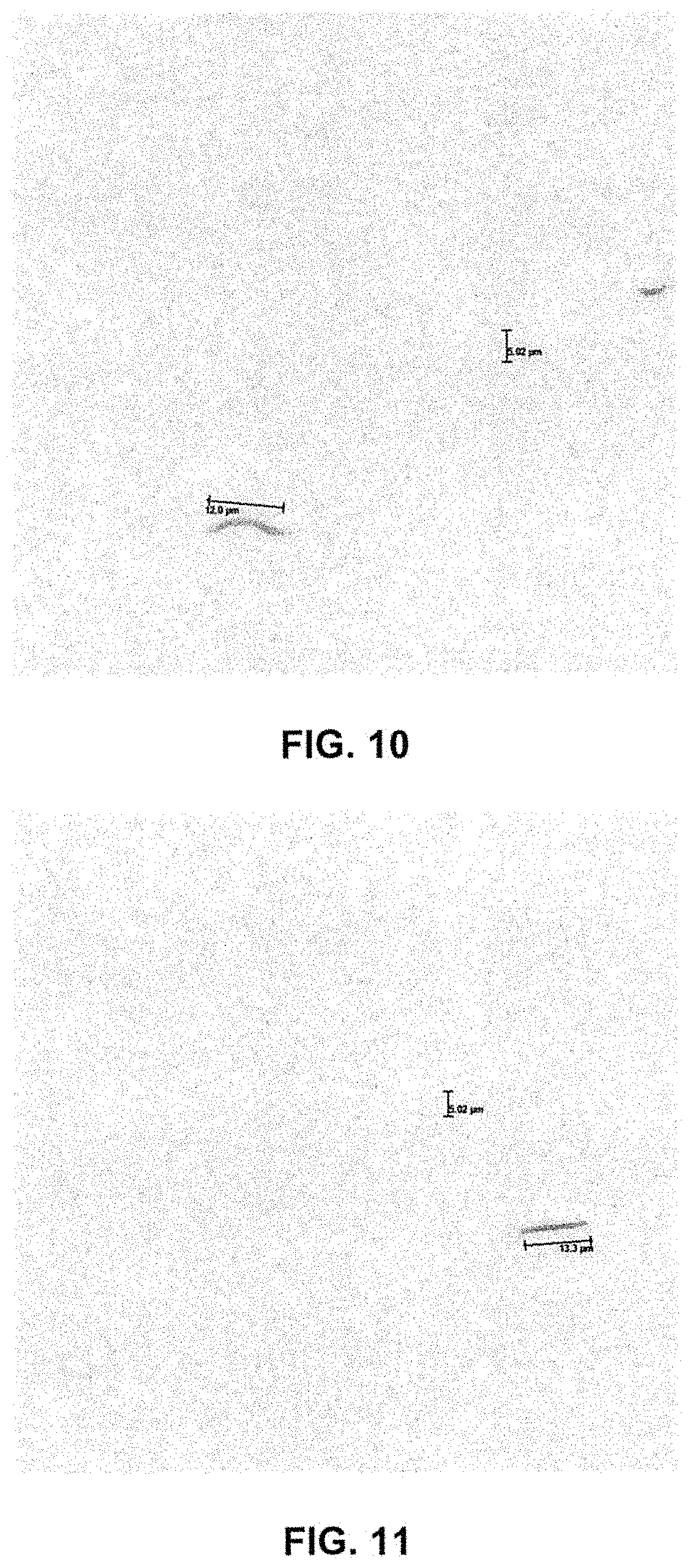 Patent US11781265 Figure 10 – Method of dyeing fabric using microorganisms