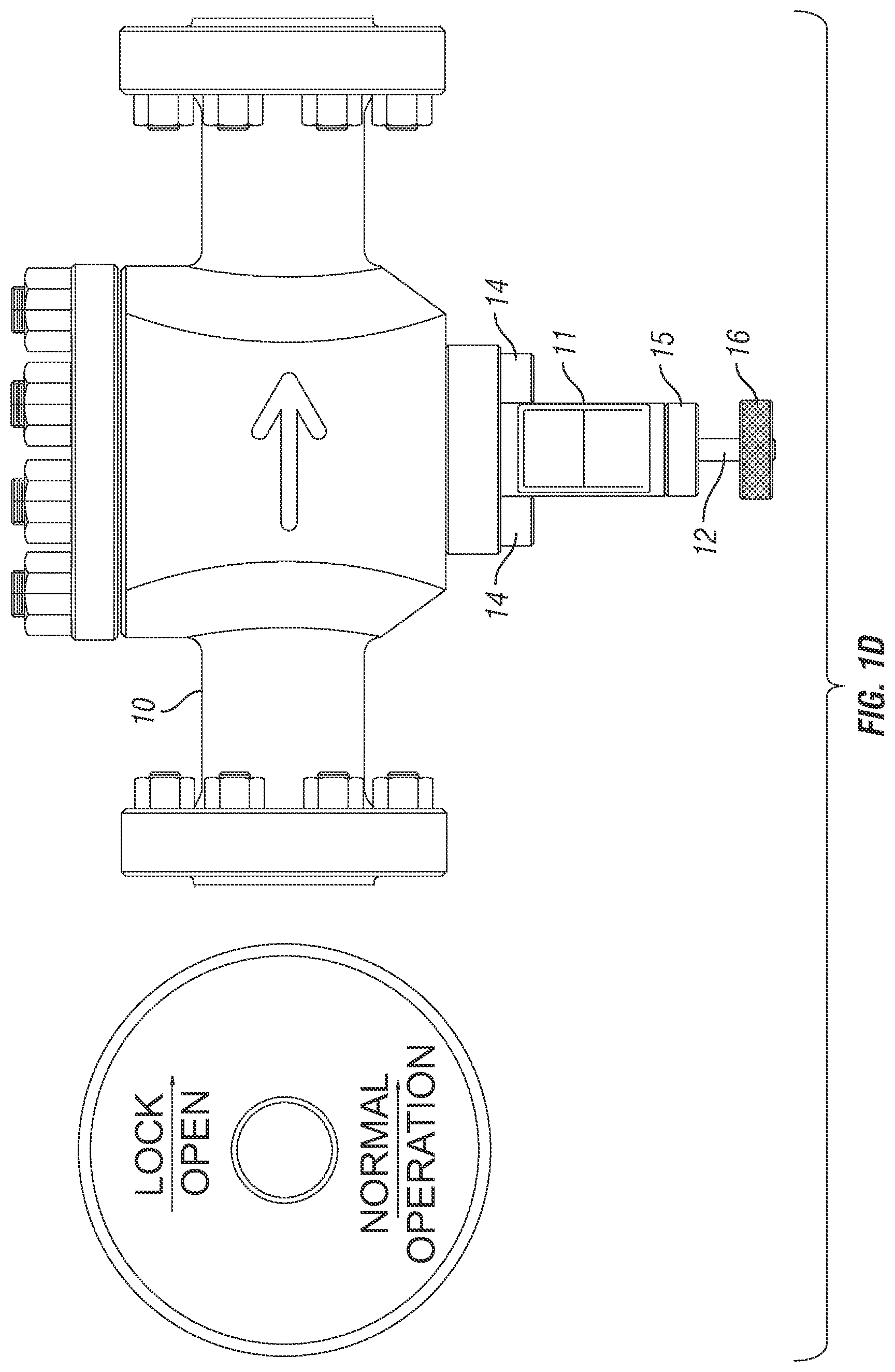 Patent US11781397 Figure 3 – Integral check valve lock open device for oil and gas equipment