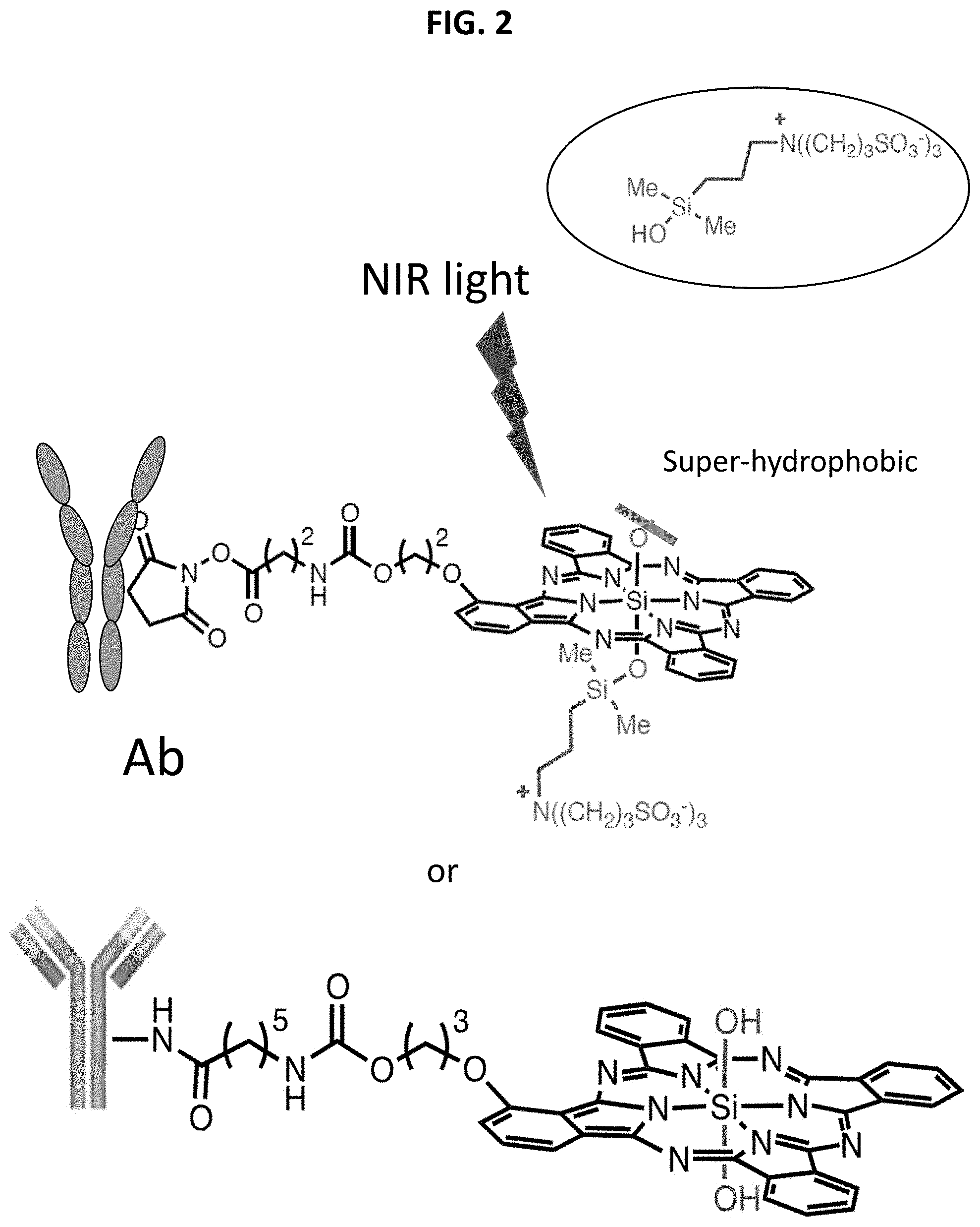 Patent US11781955 Figure 2 – Photo-controlled removal of targets in vitro and in vivo
