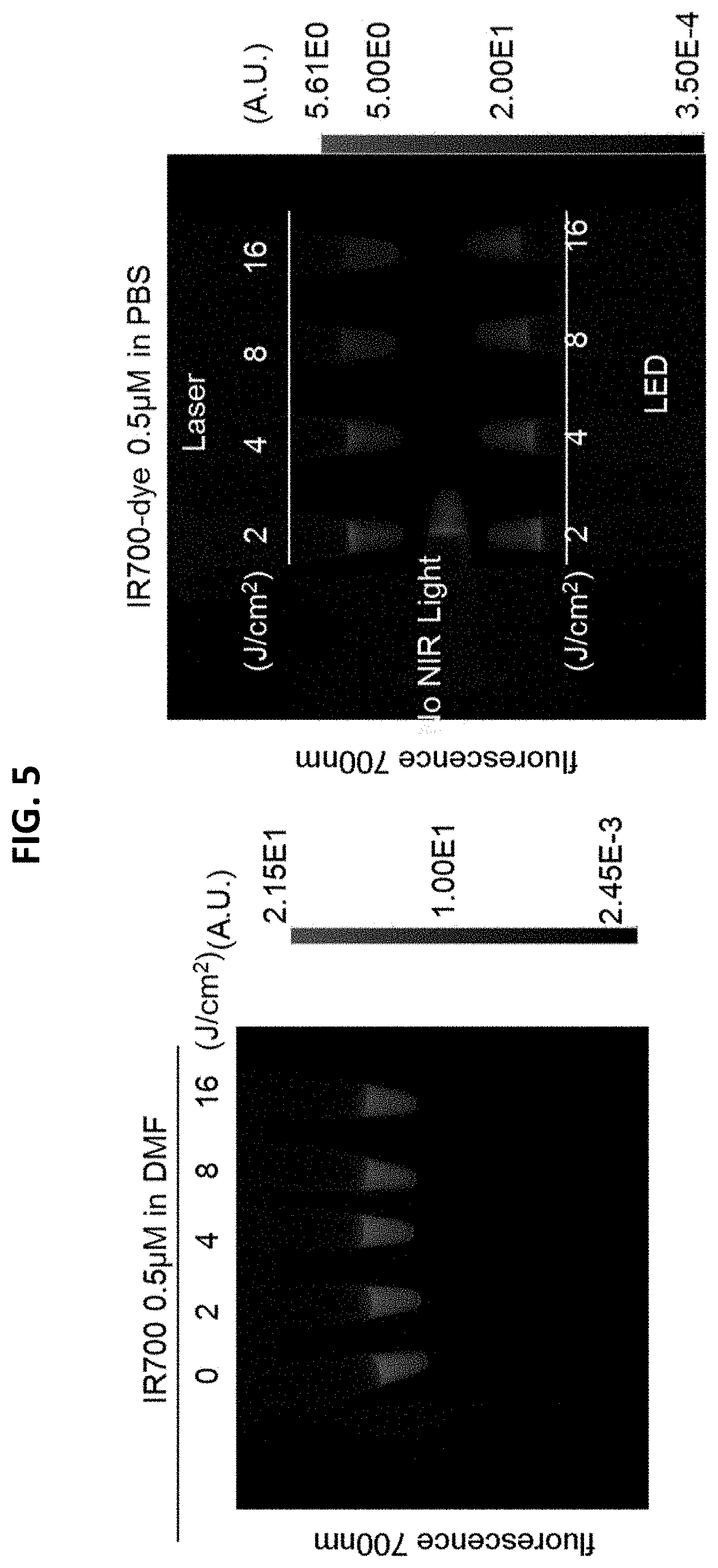 Patent US11781955 Figure 5 – Photo-controlled removal of targets in vitro and in vivo