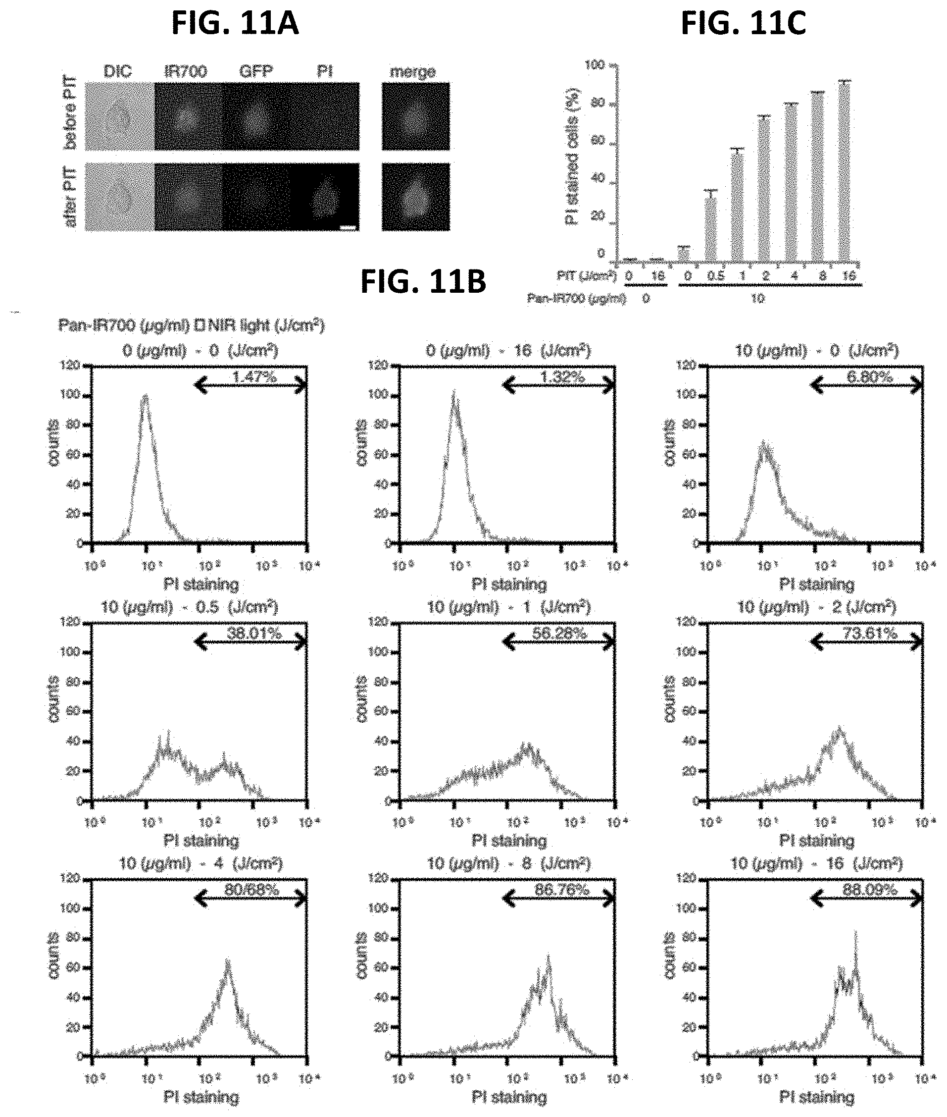 Patent US11781955 Figure 11 – Photo-controlled removal of targets in vitro and in vivo
