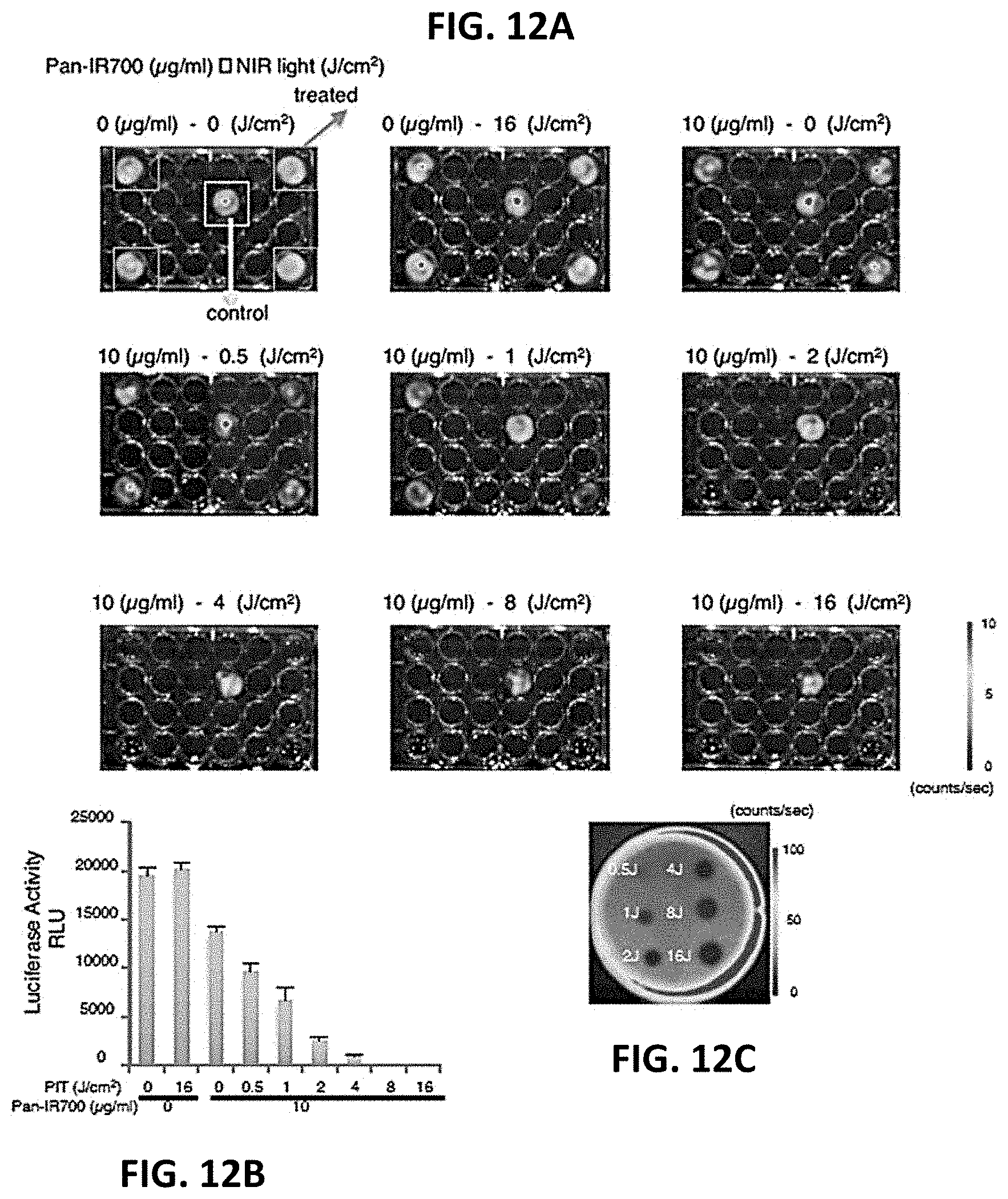 Patent US11781955 Figure 12 – Photo-controlled removal of targets in vitro and in vivo