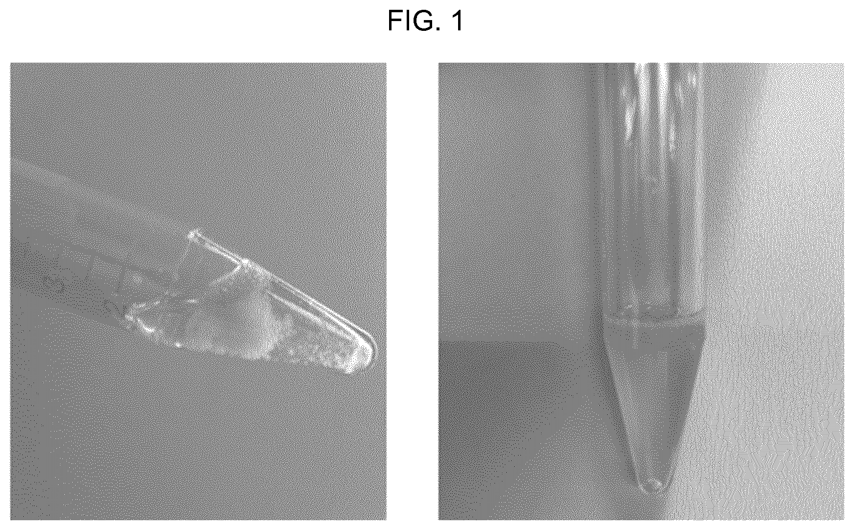 Patent US11781980 Figure 1 – Fetal lung maturity test