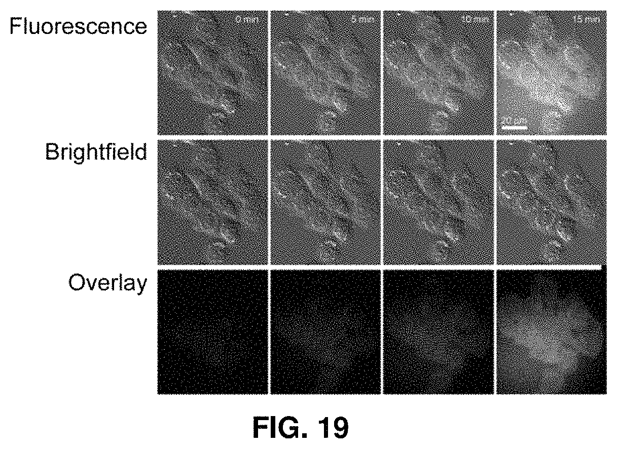 Patent US11781984 Figure 13 – Fluorescent method to quantify copper or platinum based on catalysis