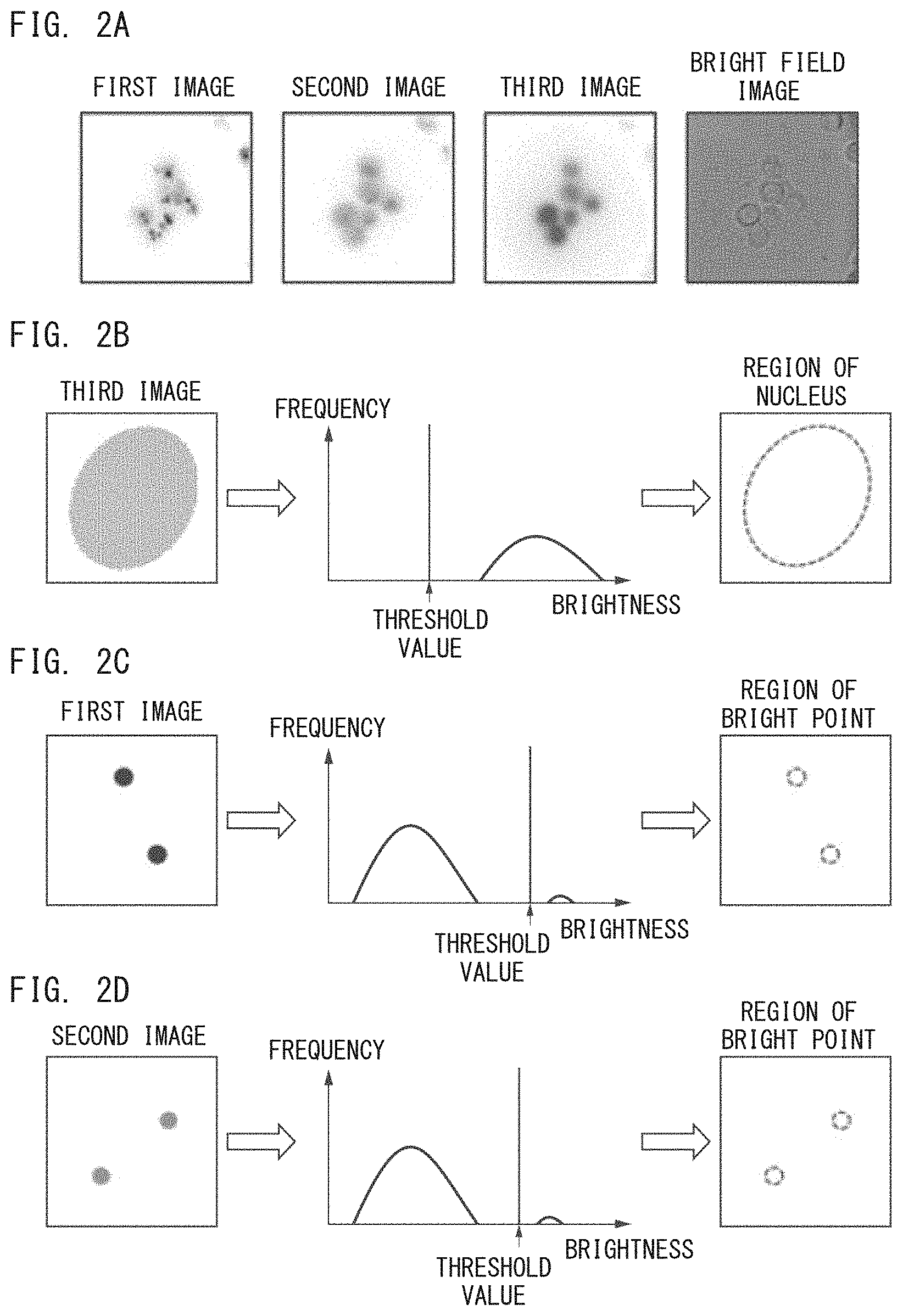 Patent US11781987 Figure 2 – Fluorescence image analyzer and fluorescence image analyzing method
