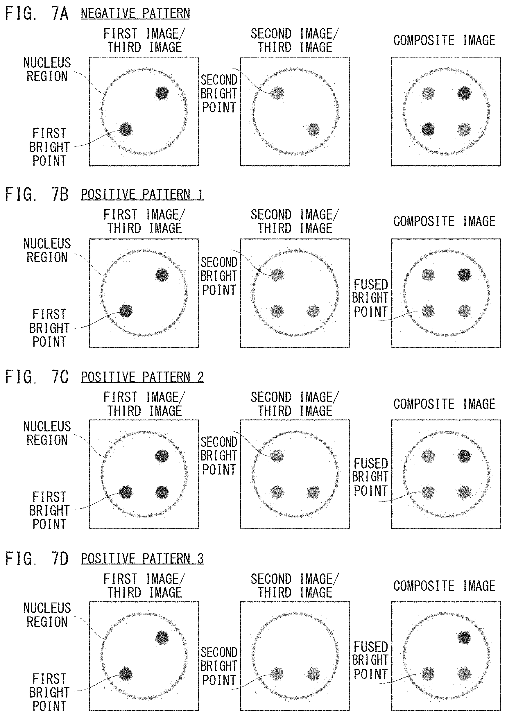 Patent US11781987 Figure 7 – Fluorescence image analyzer and fluorescence image analyzing method