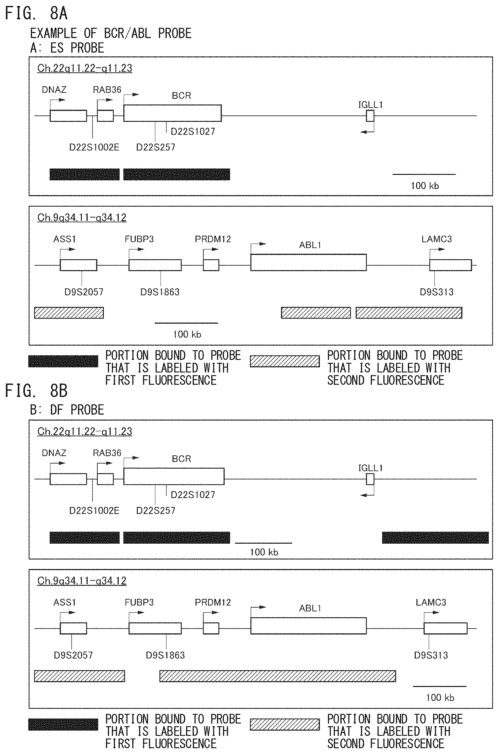 Patent US11781987 Figure 8 – Fluorescence image analyzer and fluorescence image analyzing method