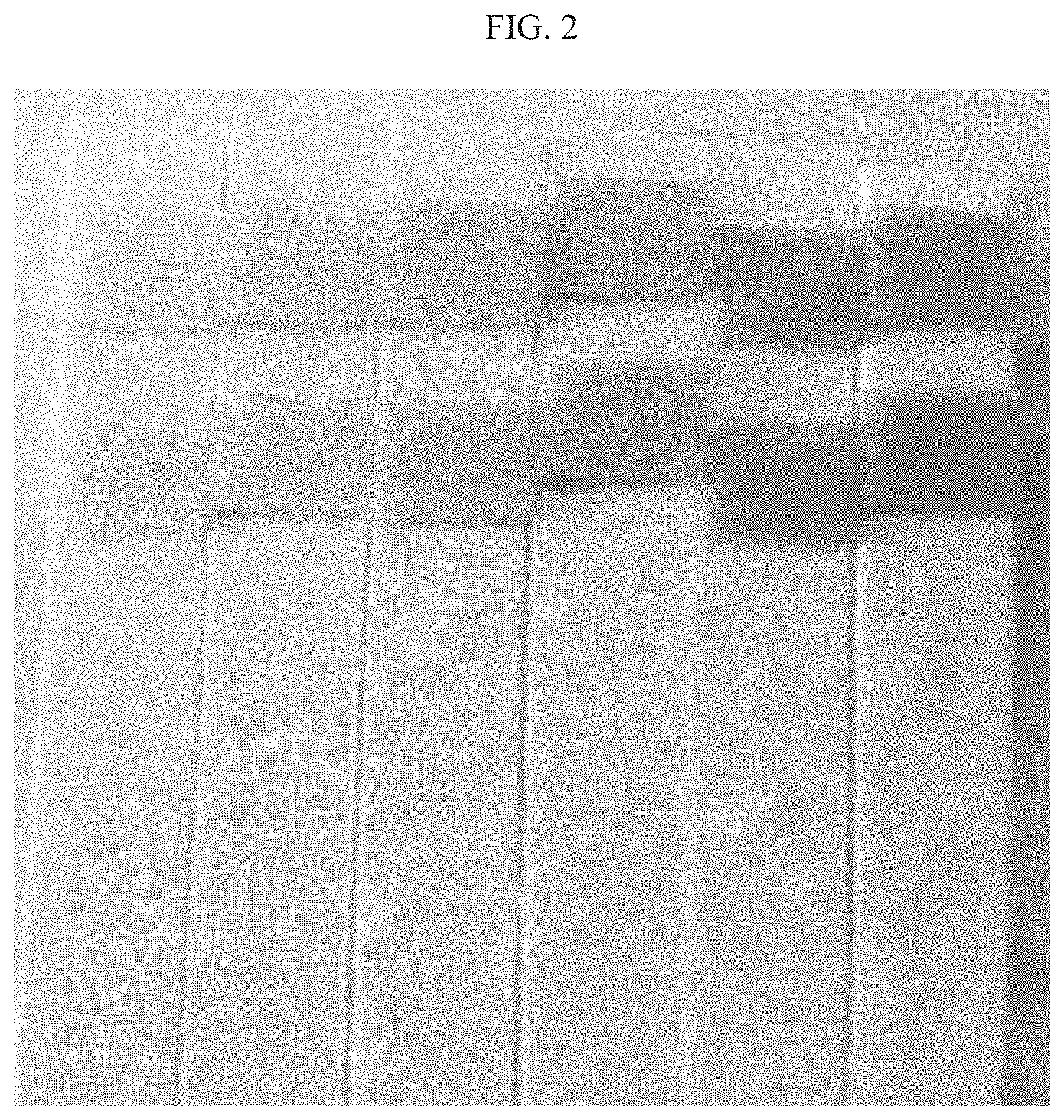 Patent US11781992 Figure 3 – Test strip for detecting microalbumin in urine with high sensitivity
