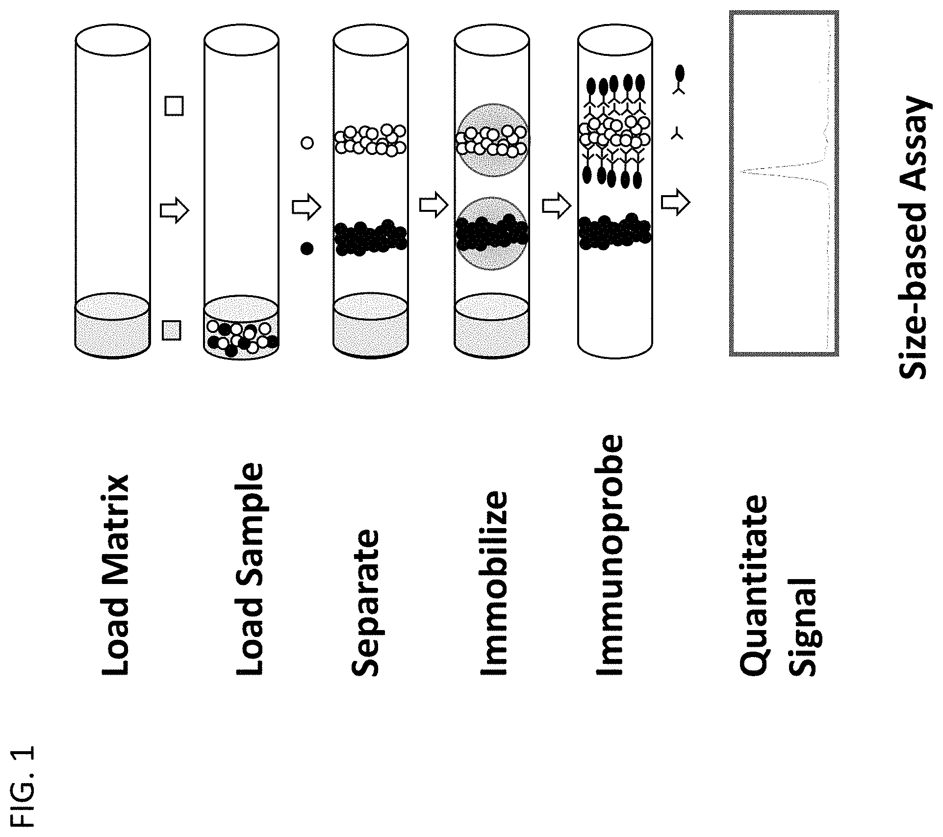 Patent US11782023 — Ce-western applications for antibody development — Figure 1
