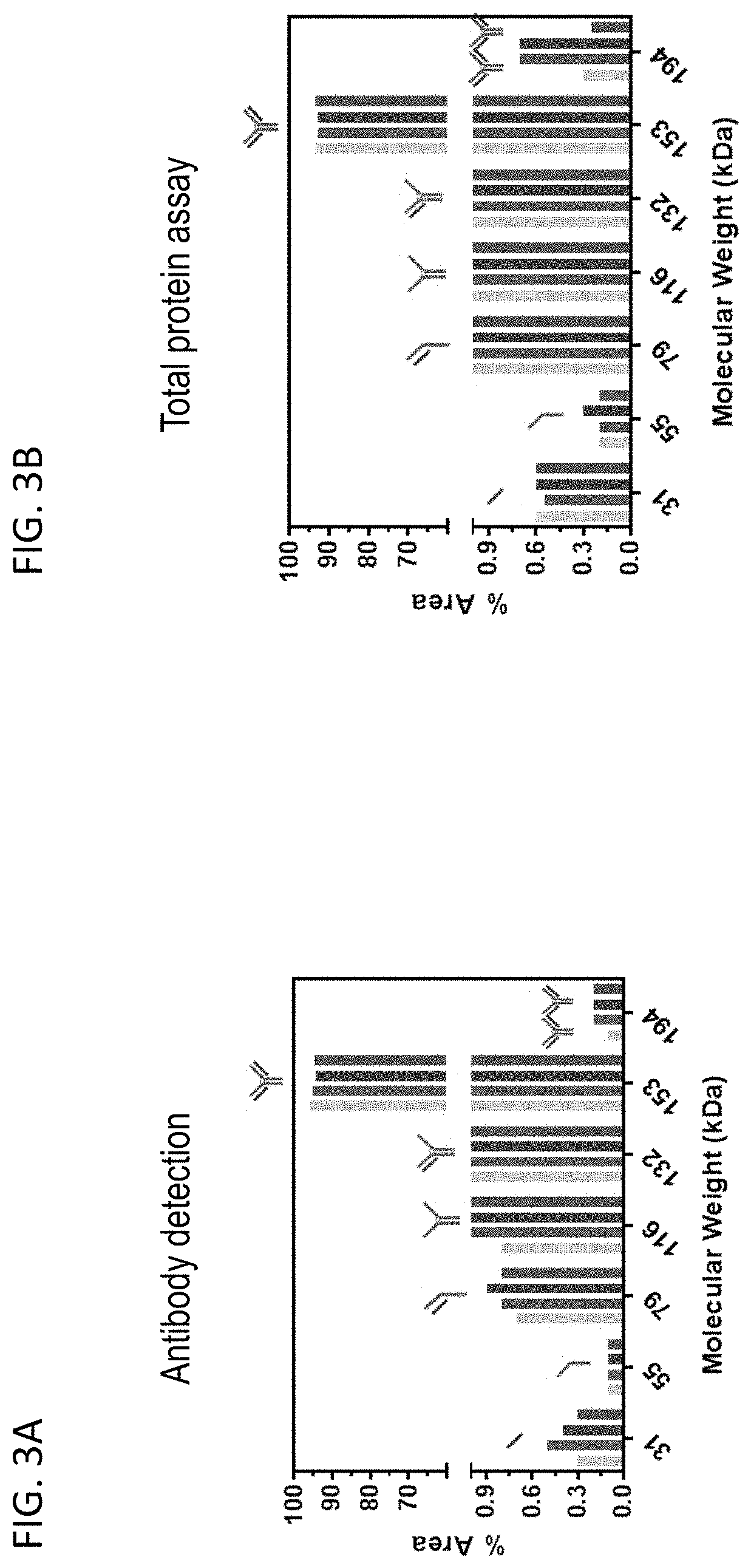 Patent US11782023 Figure 3 – Ce-western applications for antibody development