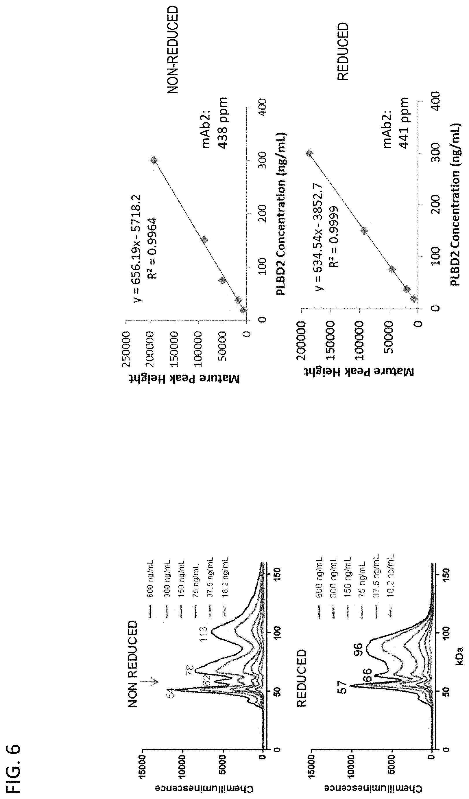 Patent US11782023 Figure 6 – Ce-western applications for antibody development