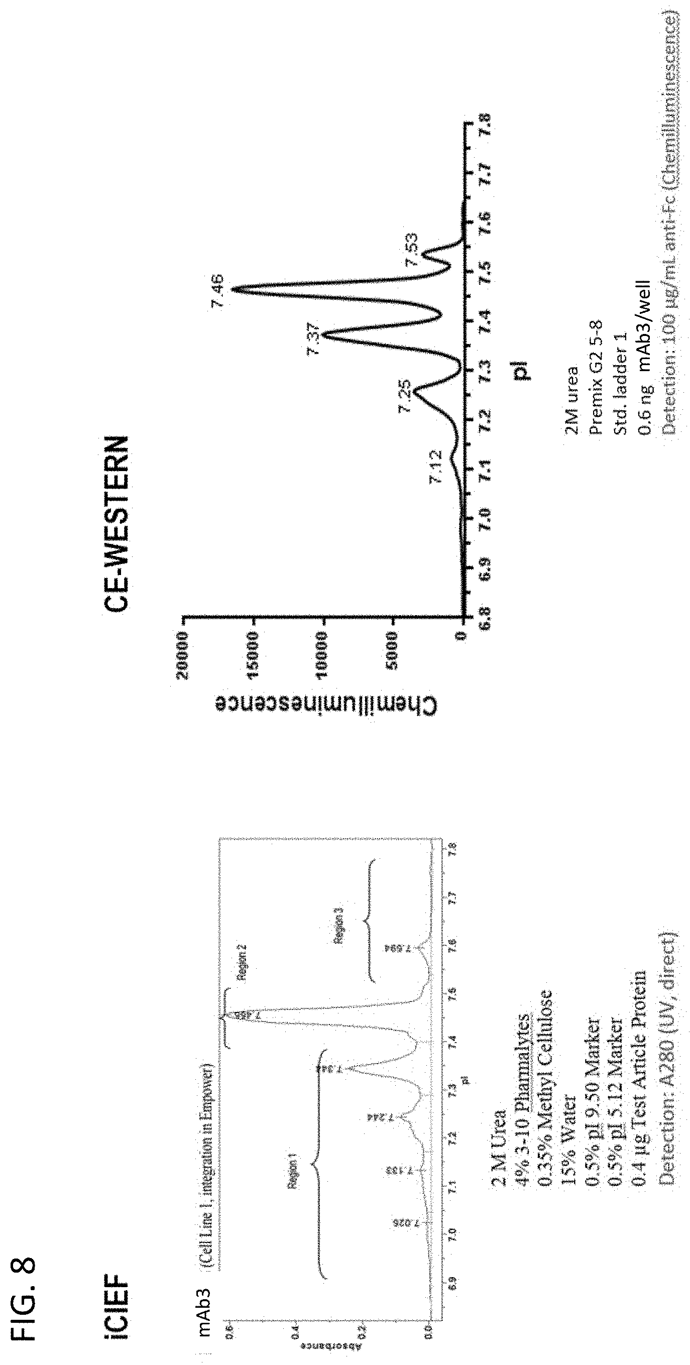 Patent US11782023 Figure 8 – Ce-western applications for antibody development