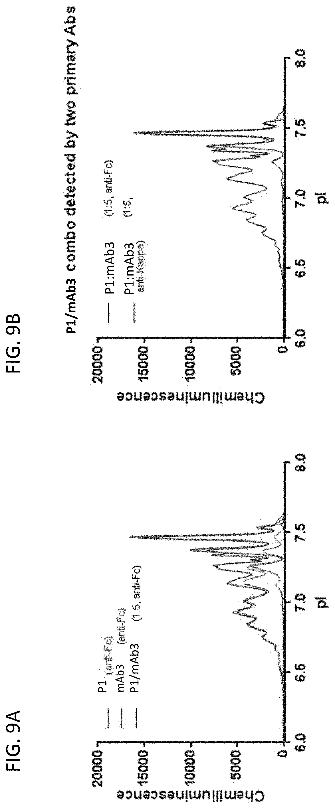 Patent US11782023 Figure 9 – Ce-western applications for antibody development