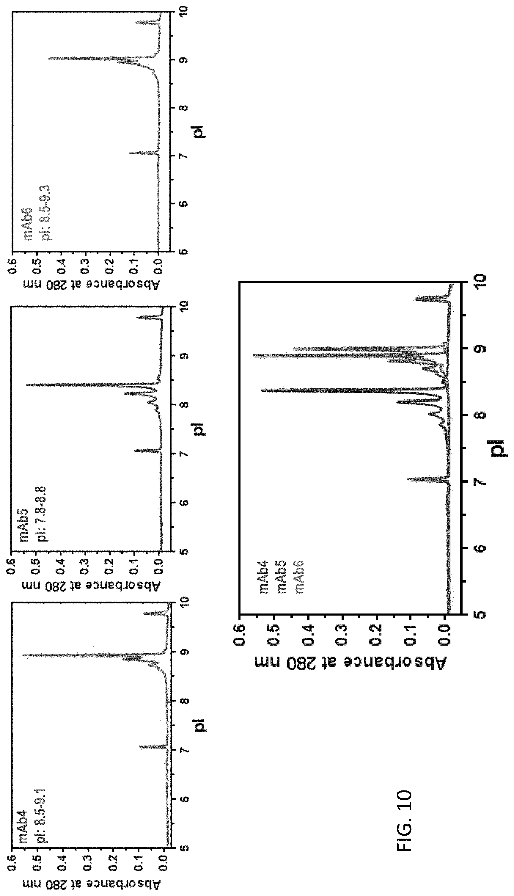 Patent US11782023 Figure 10 – Ce-western applications for antibody development