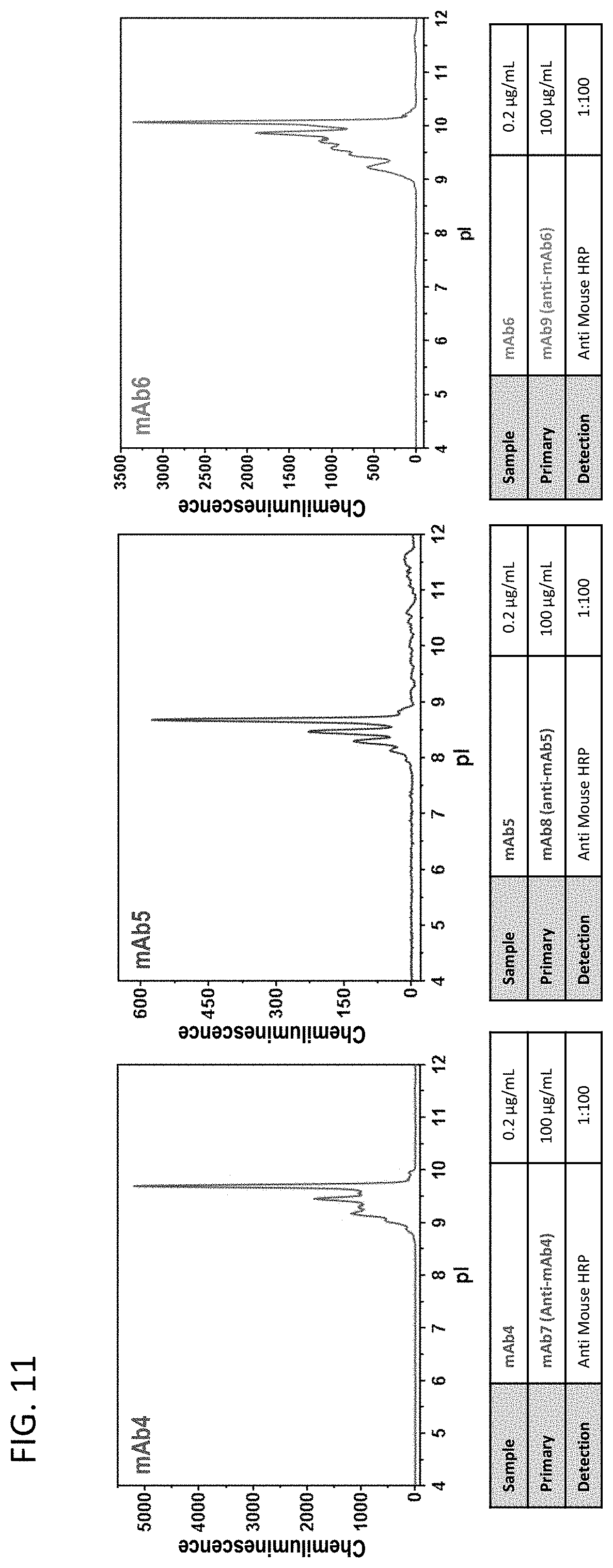 Patent US11782023 Figure 11 – Ce-western applications for antibody development