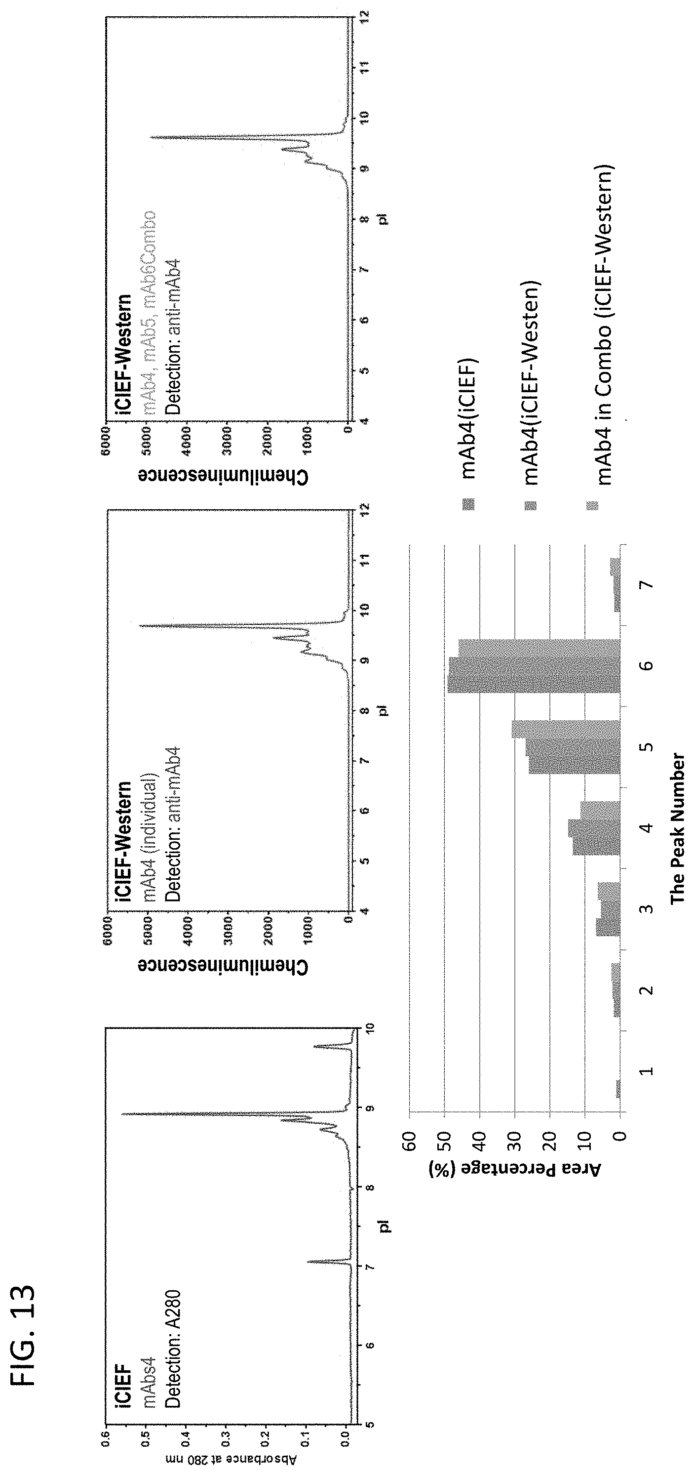 Patent US11782023 Figure 13 – Ce-western applications for antibody development