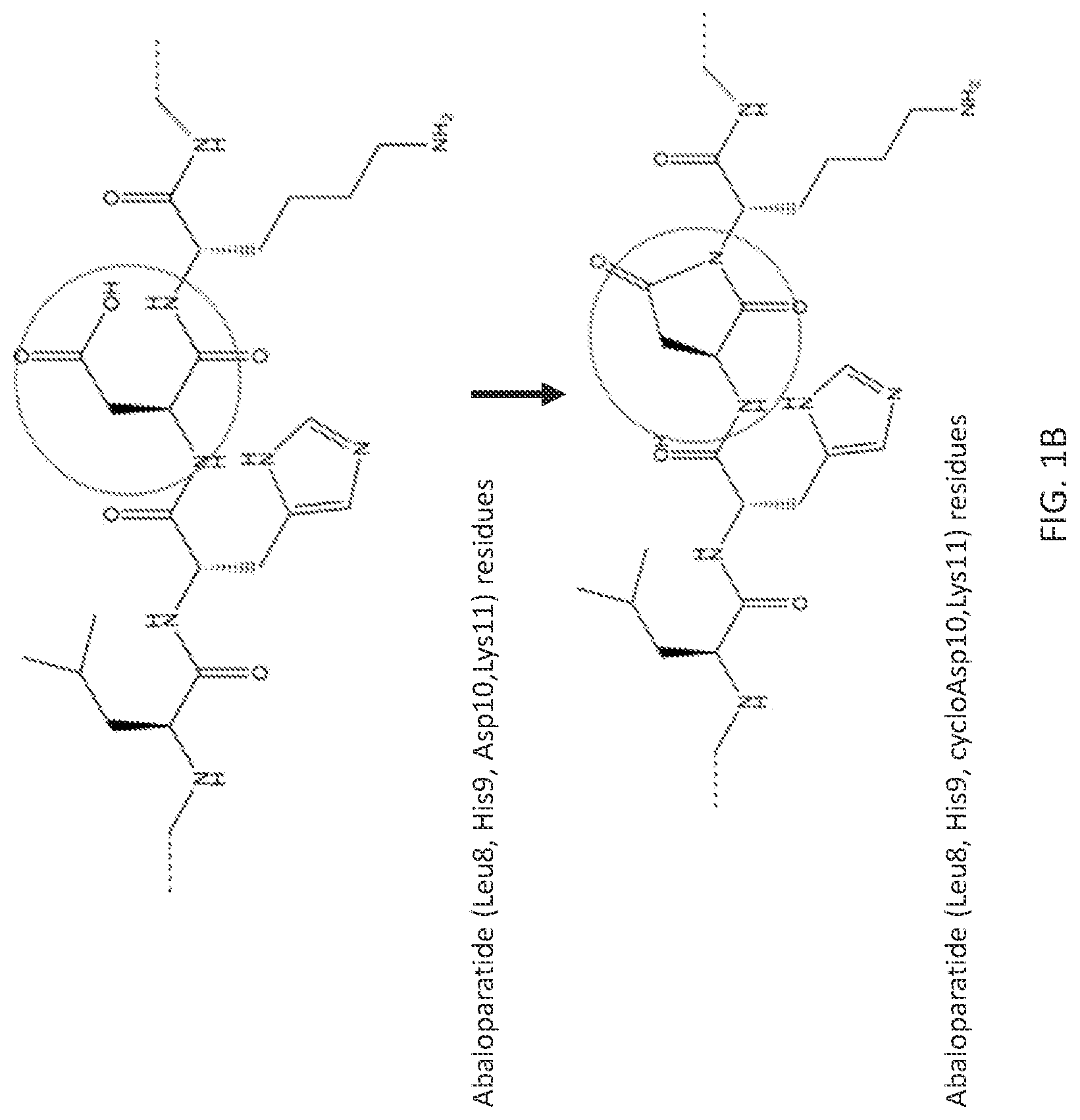 Patent US11782041 Figure 2 – Abaloparatide formulations and methods of testing, storing, modifying, and using same