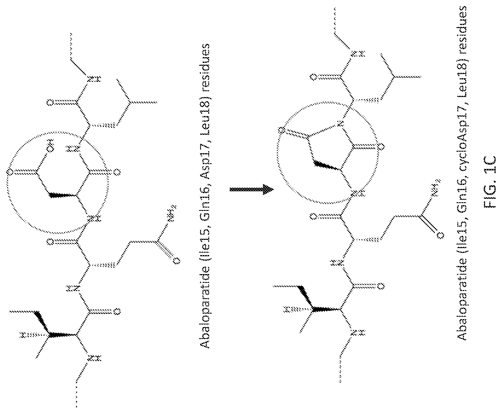 Patent US11782041 Figure 3 – Abaloparatide formulations and methods of testing, storing, modifying, and using same