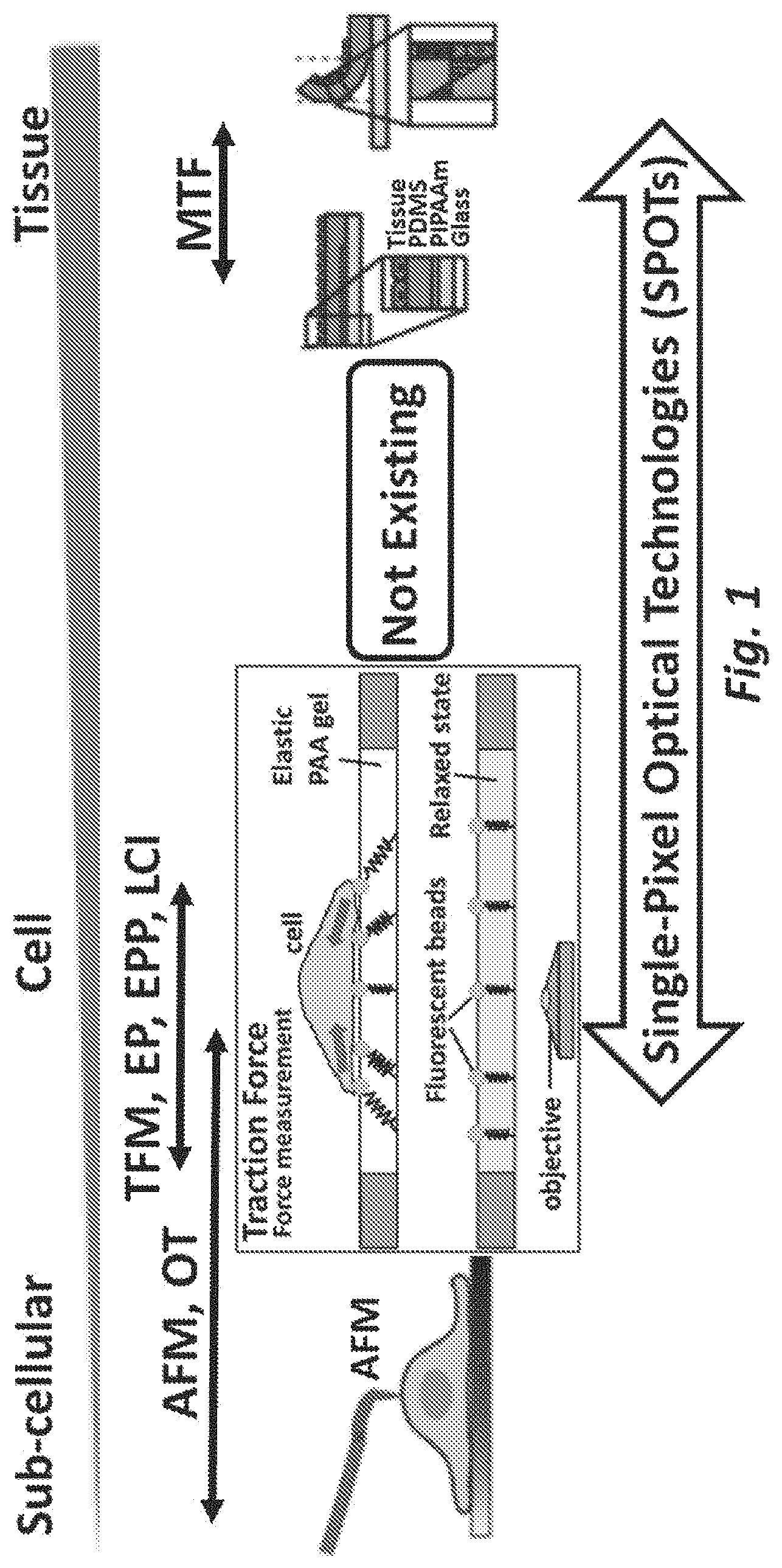 Patent US11782046 Figure 1 – Single-pixel optical technologies for instantly quantifying multicellular response profiles