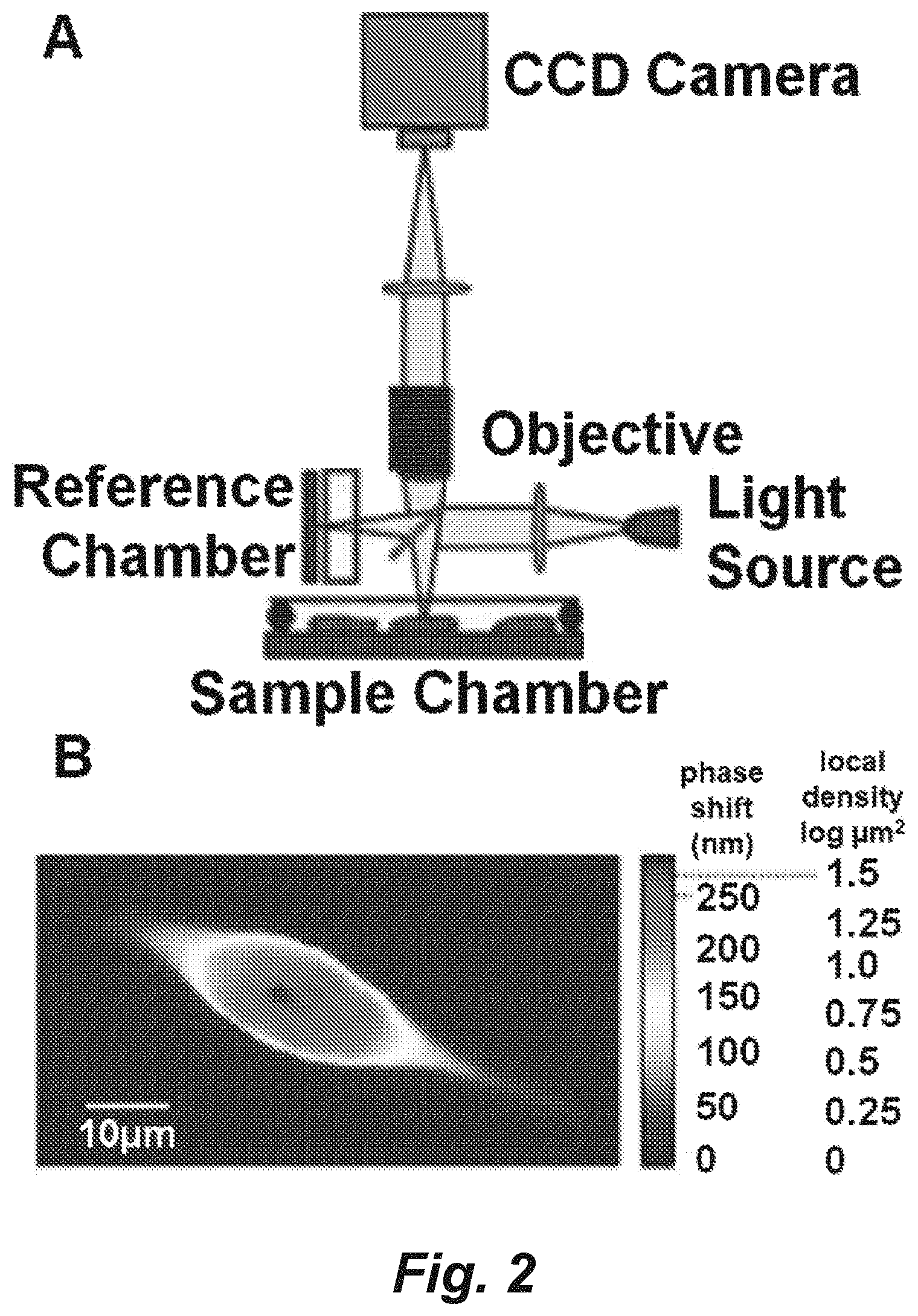 Patent US11782046 Figure 2 – Single-pixel optical technologies for instantly quantifying multicellular response profiles