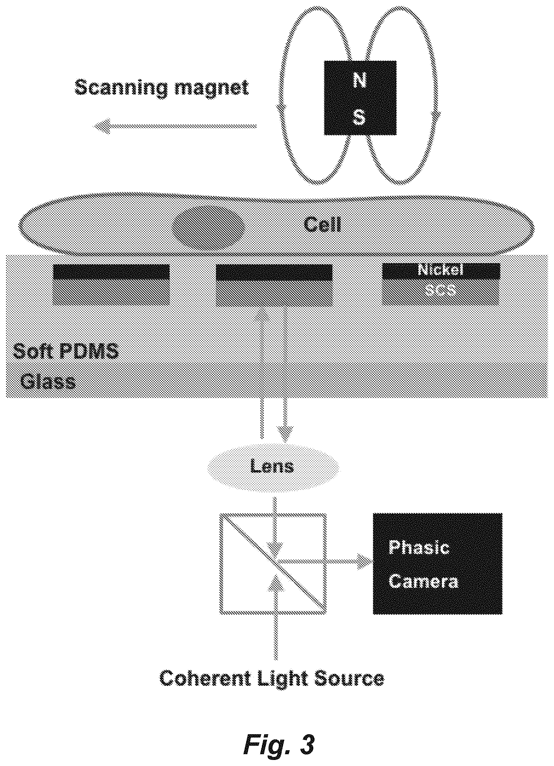 Patent US11782046 Figure 3 – Single-pixel optical technologies for instantly quantifying multicellular response profiles