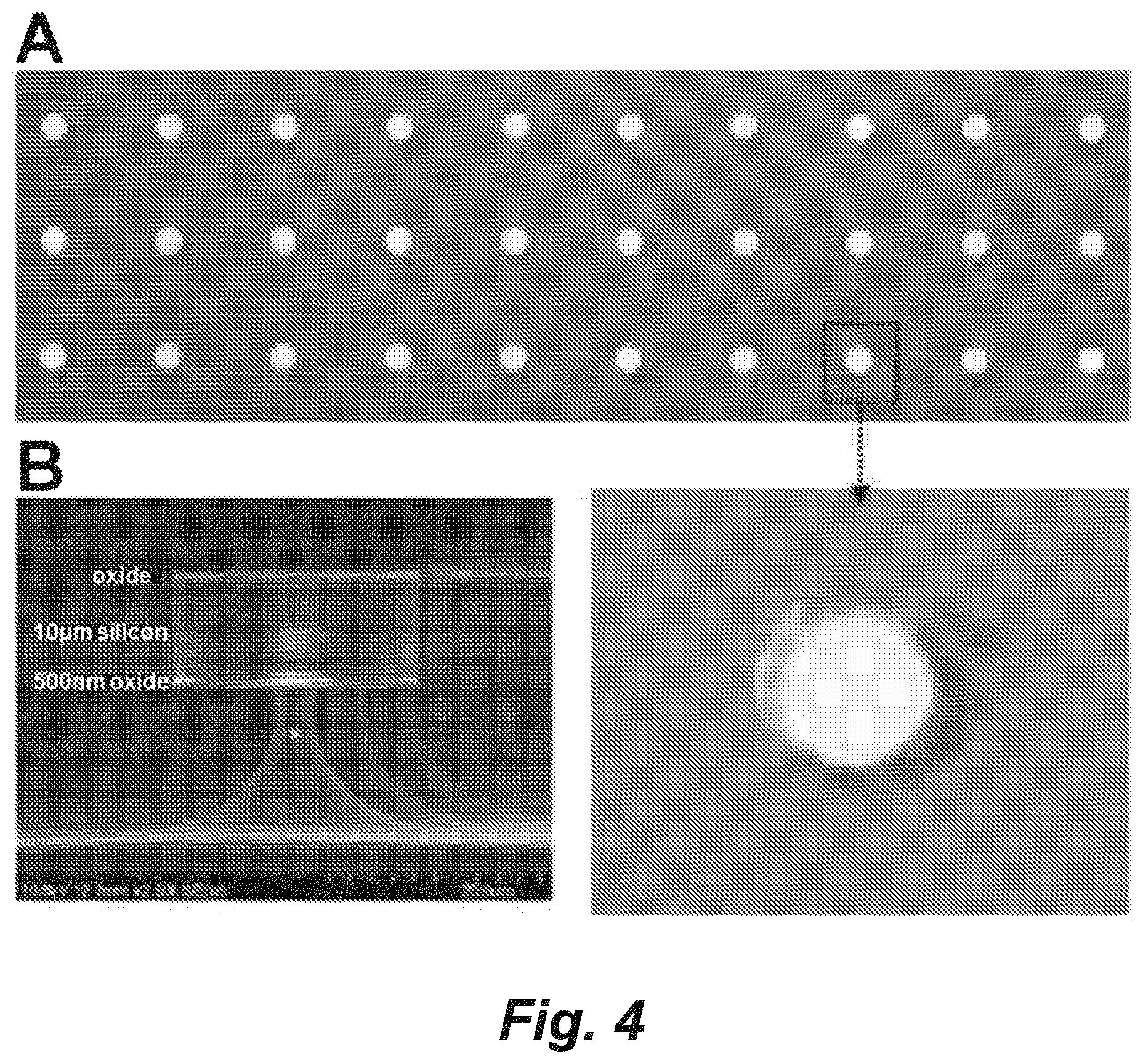 Patent US11782046 Figure 4 – Single-pixel optical technologies for instantly quantifying multicellular response profiles